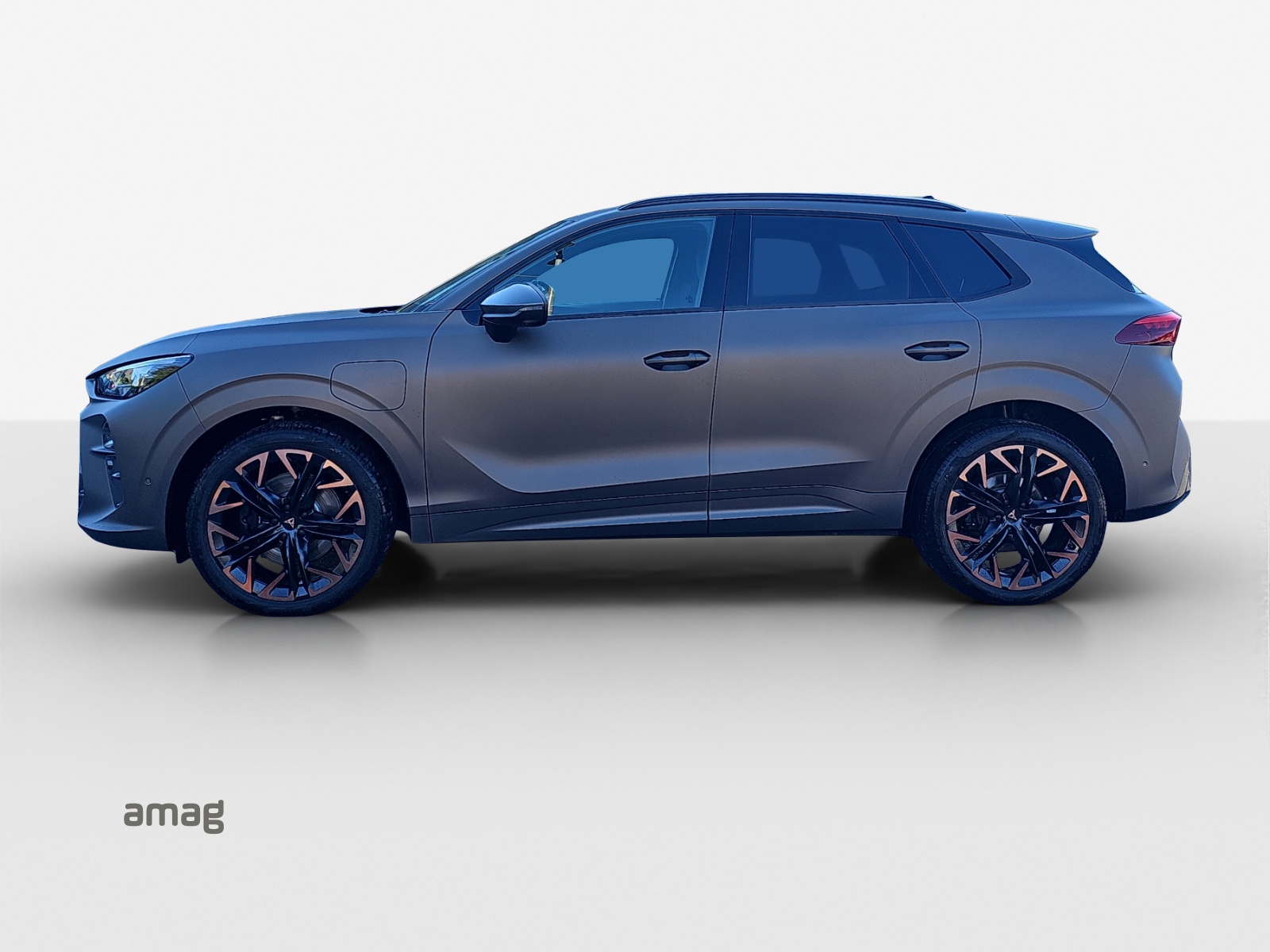 Cupra Terramar - Bild folgt... 1