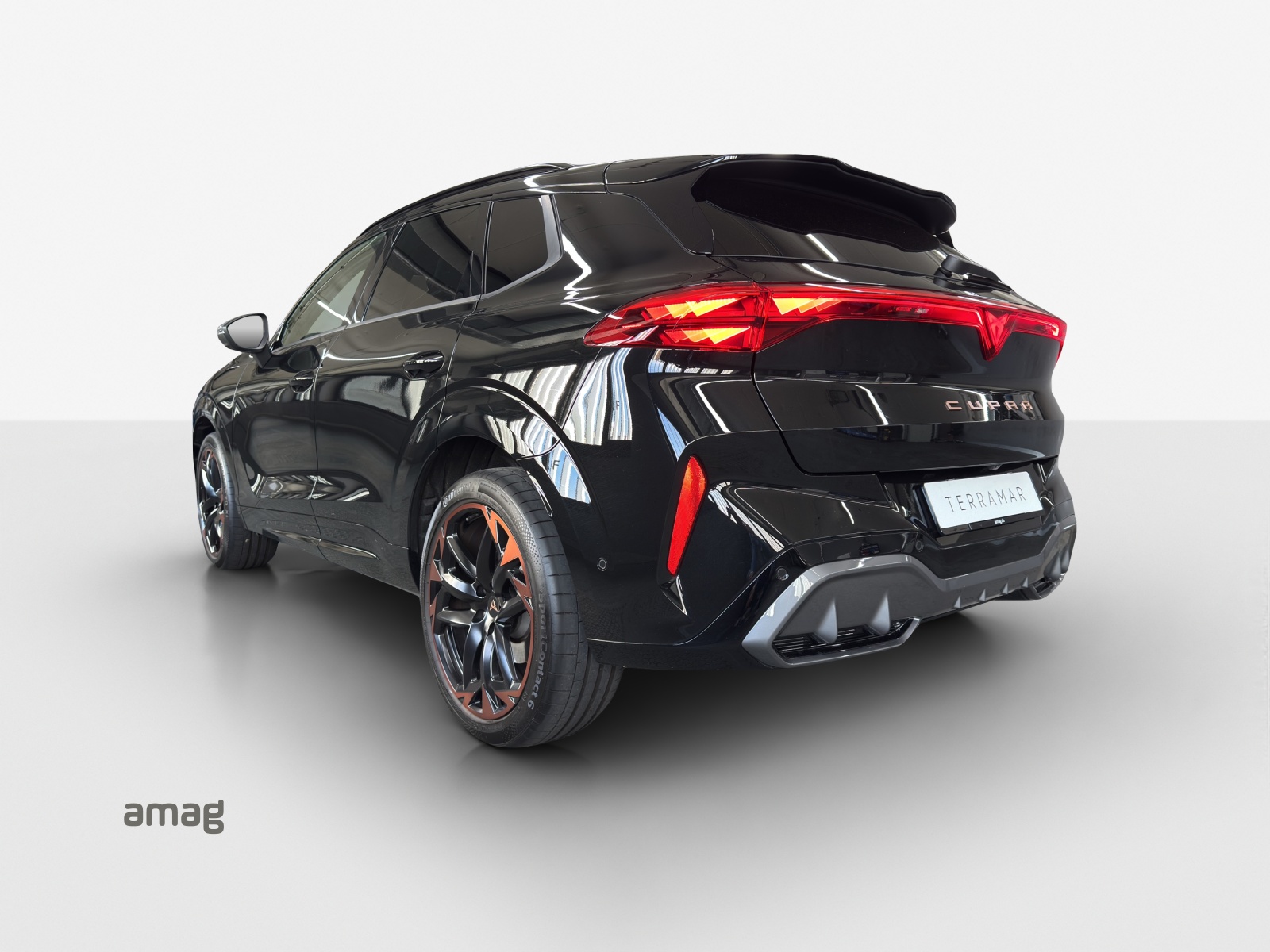 Cupra Terramar - Bild folgt... 1