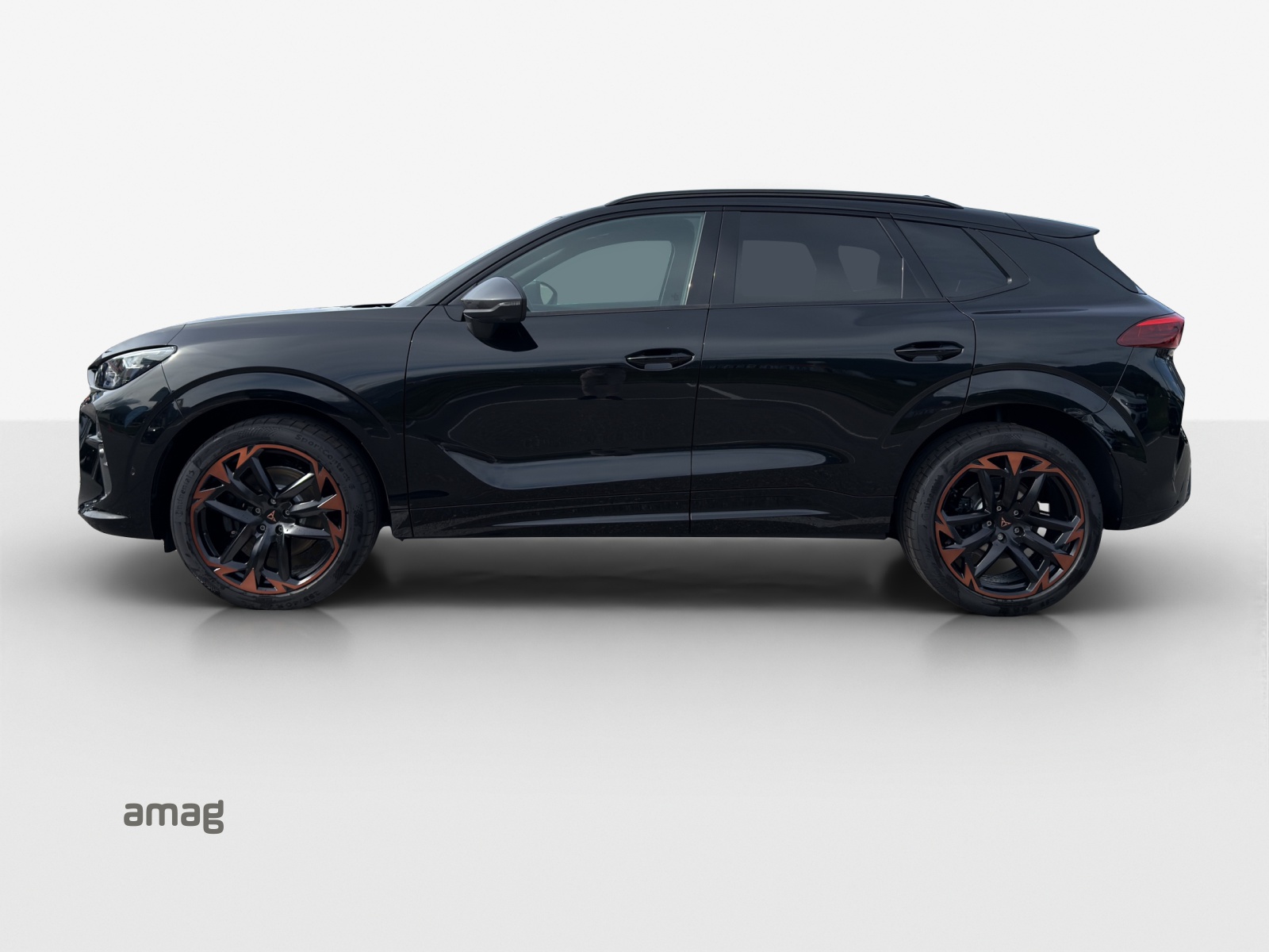 Cupra Terramar - Bild folgt... 1