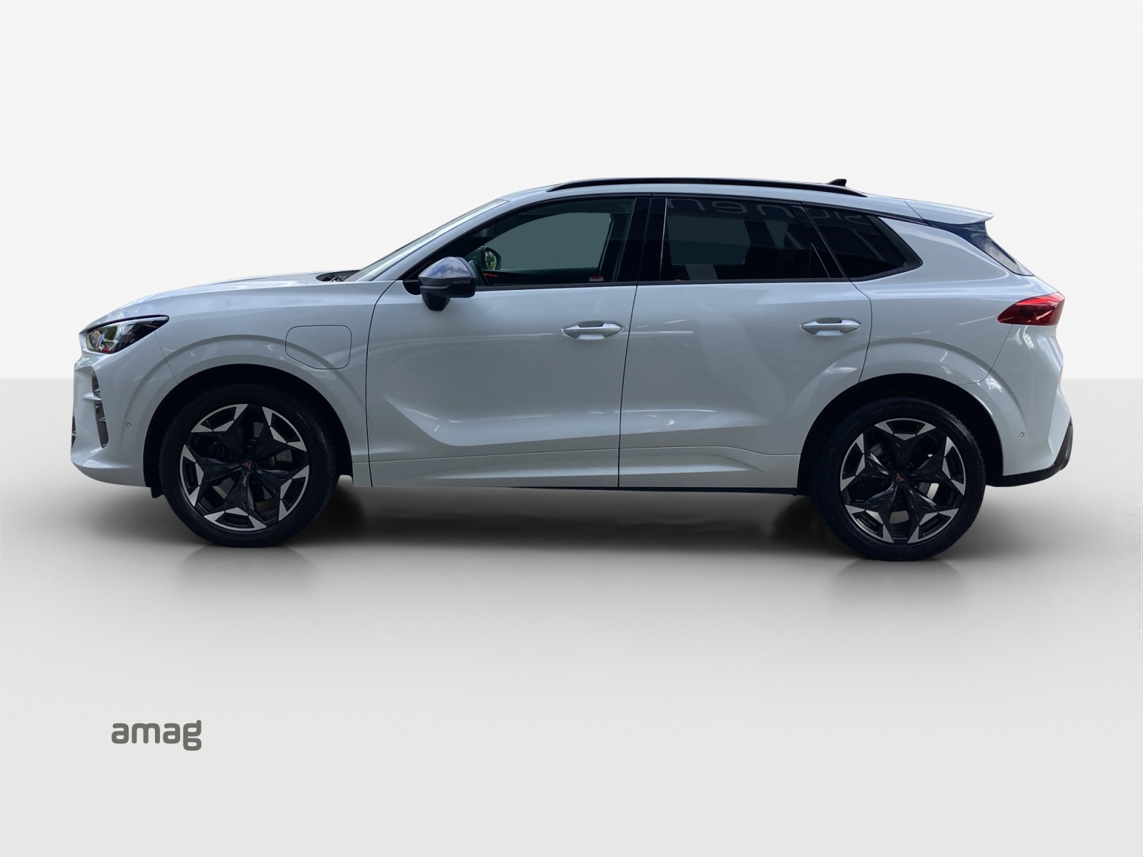 Cupra Terramar - Bild folgt... 1