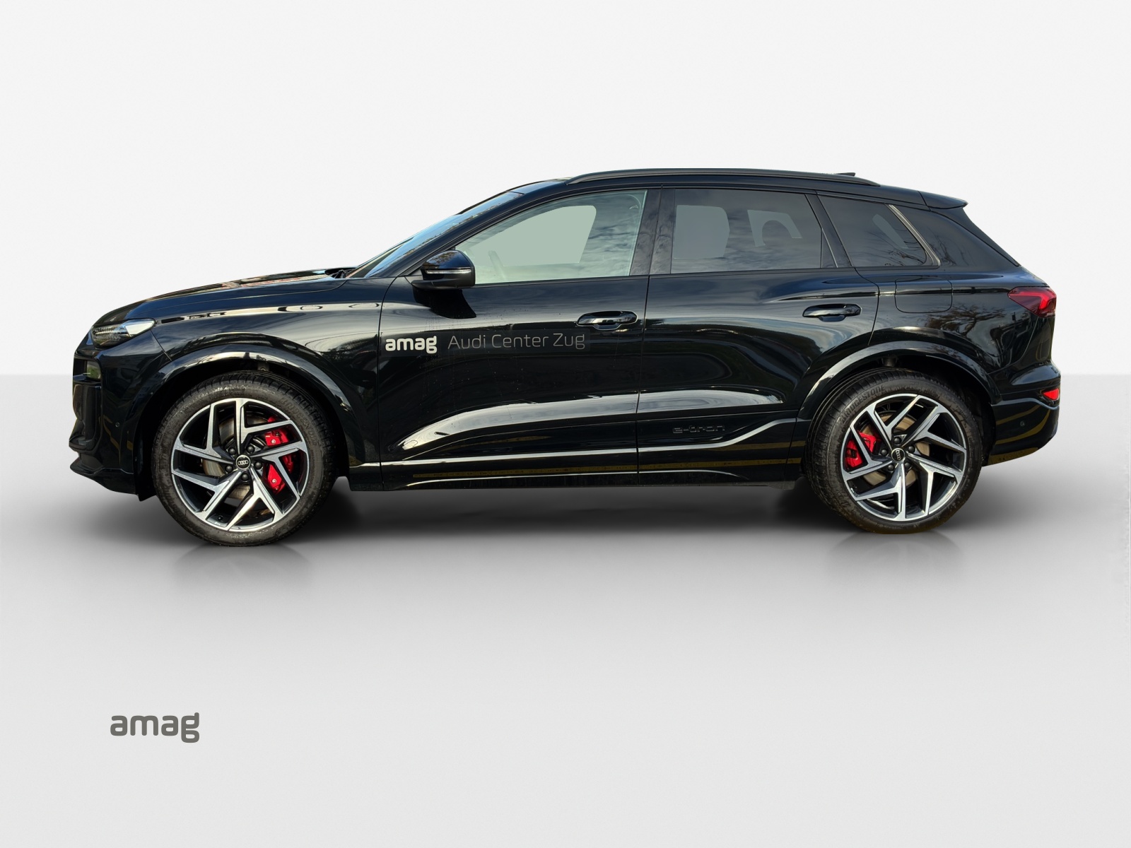 Audi SQ6 - Bild folgt... 1