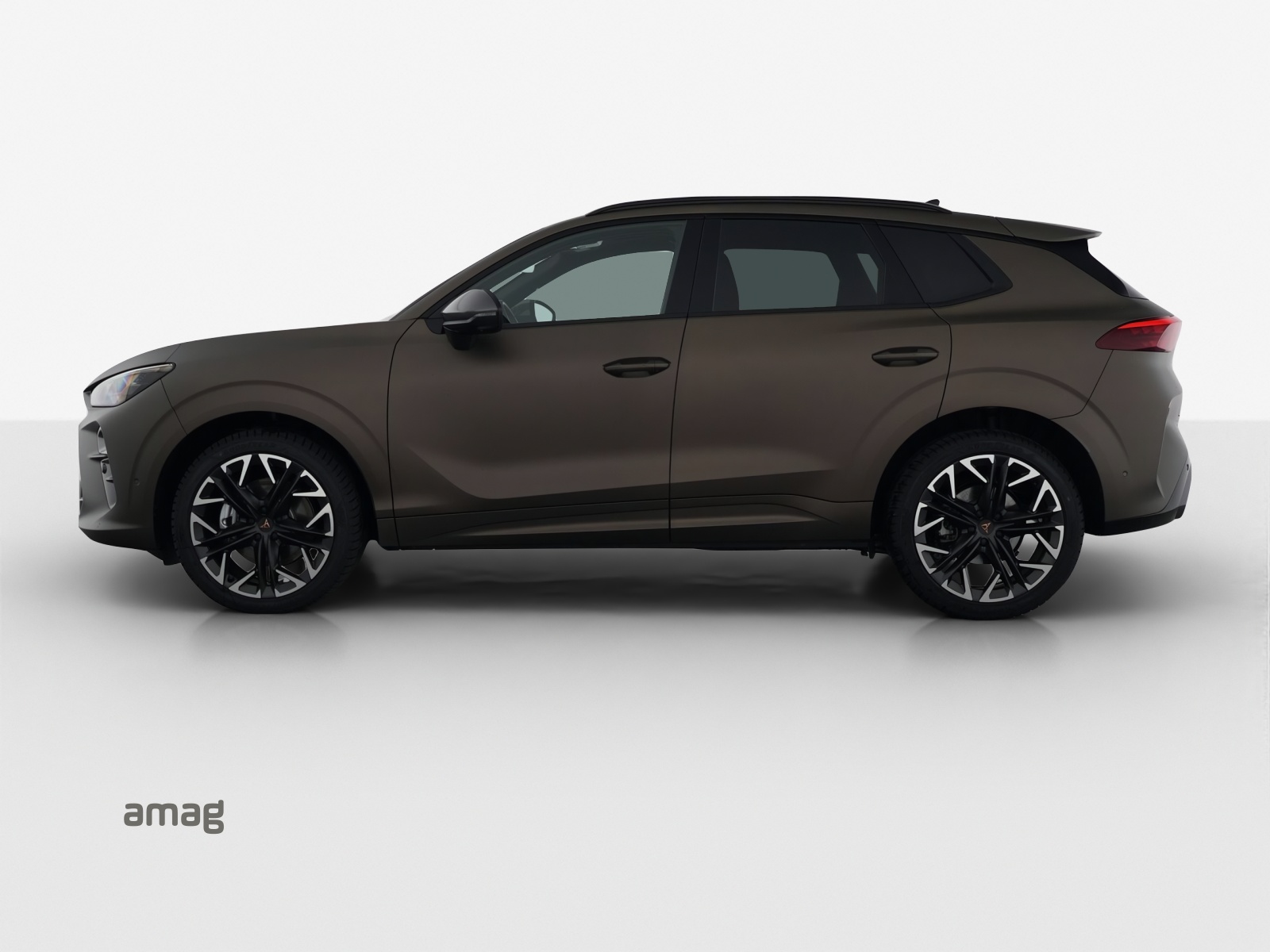 Cupra Terramar - Bild folgt... 1