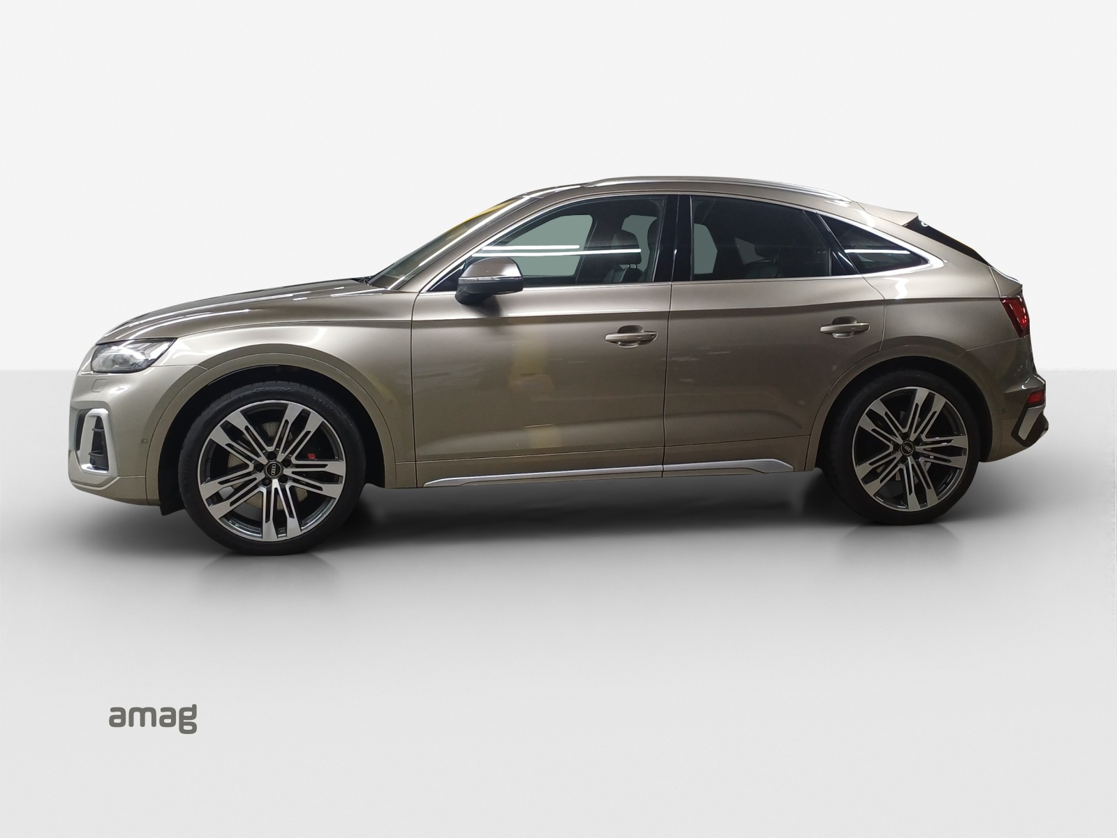 Audi SQ5 - Bild folgt... 1