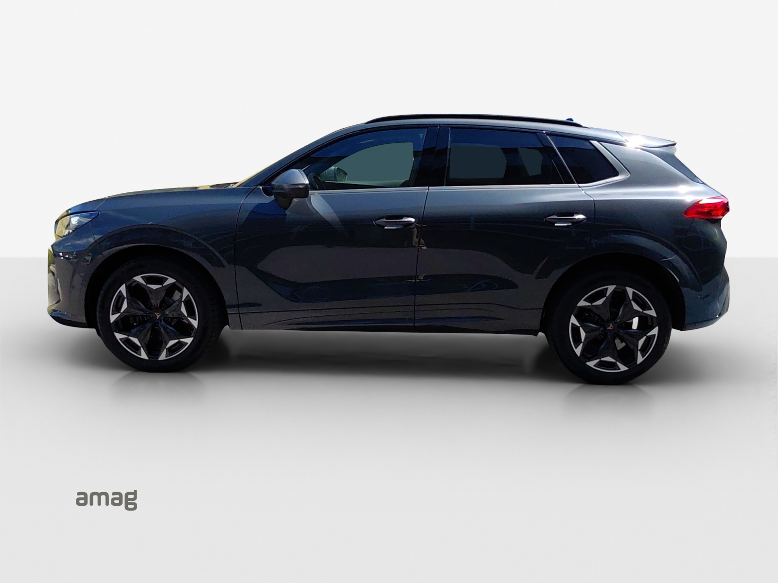 Cupra Terramar - Bild folgt... 1