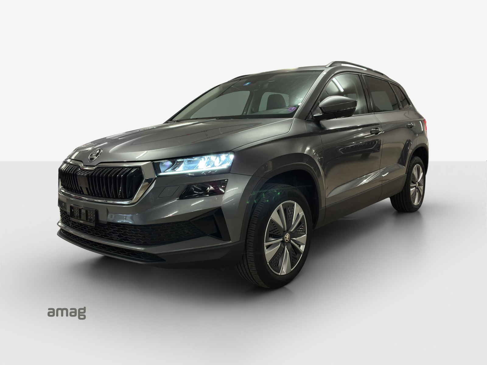 Škoda Karoq Leasing & Auto-Abo Angebot