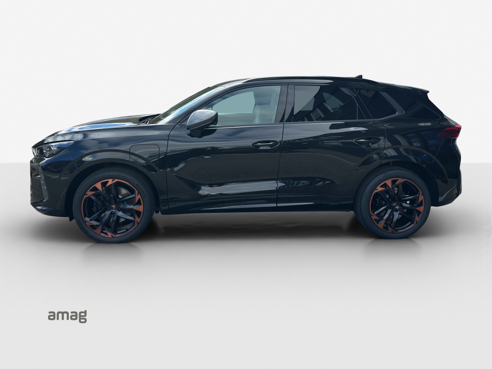 Cupra Terramar - Bild folgt... 1