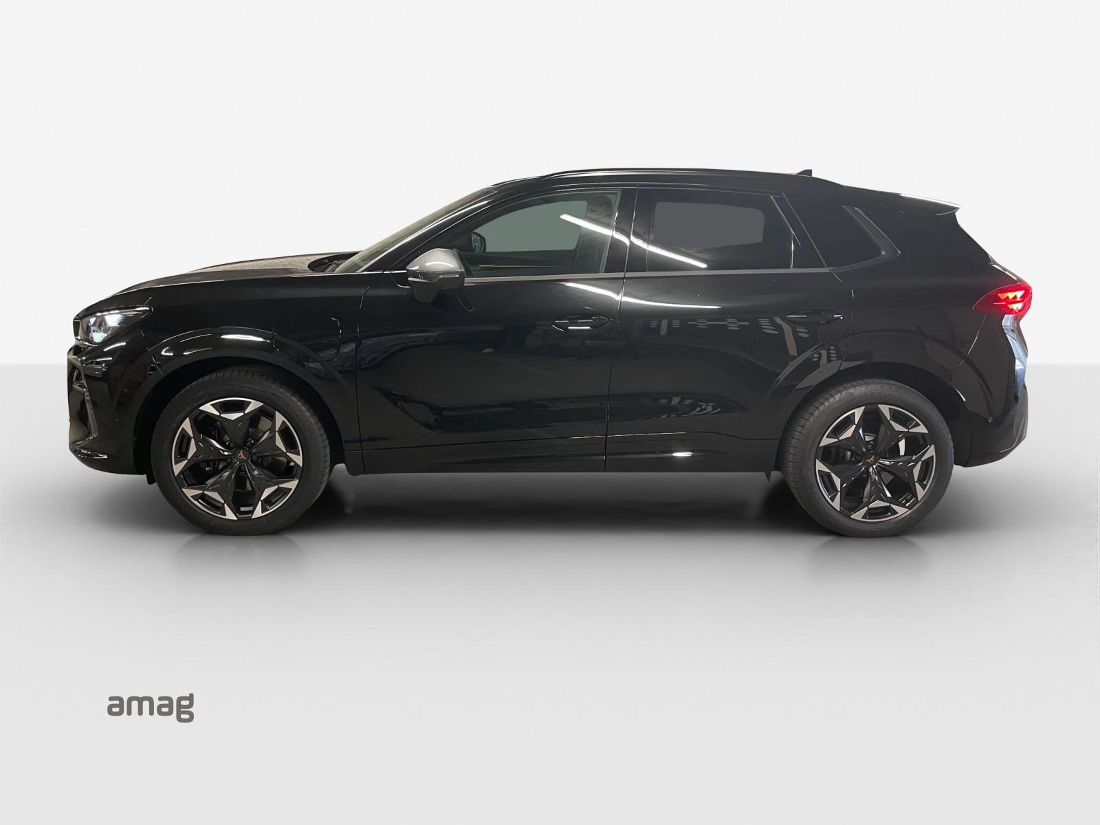 Cupra Terramar - Bild folgt... 1