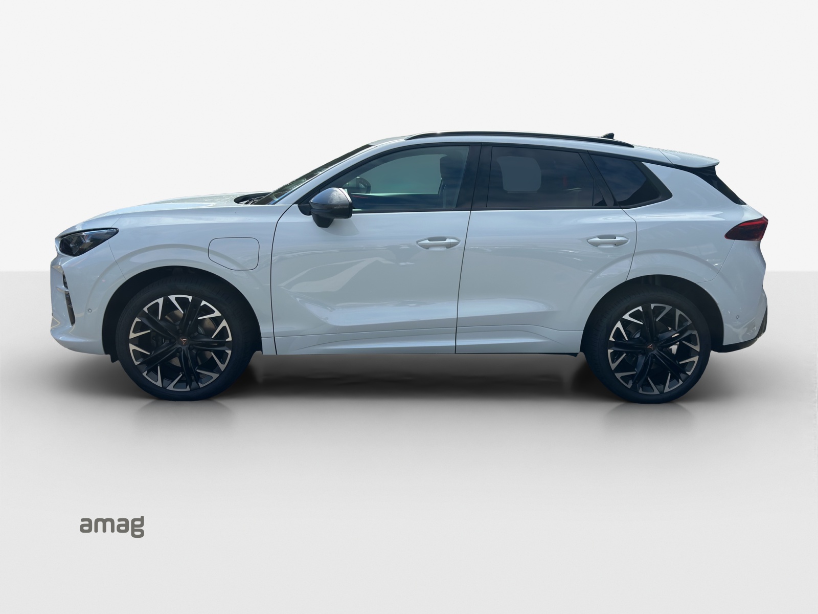 Cupra Terramar - Bild folgt... 1