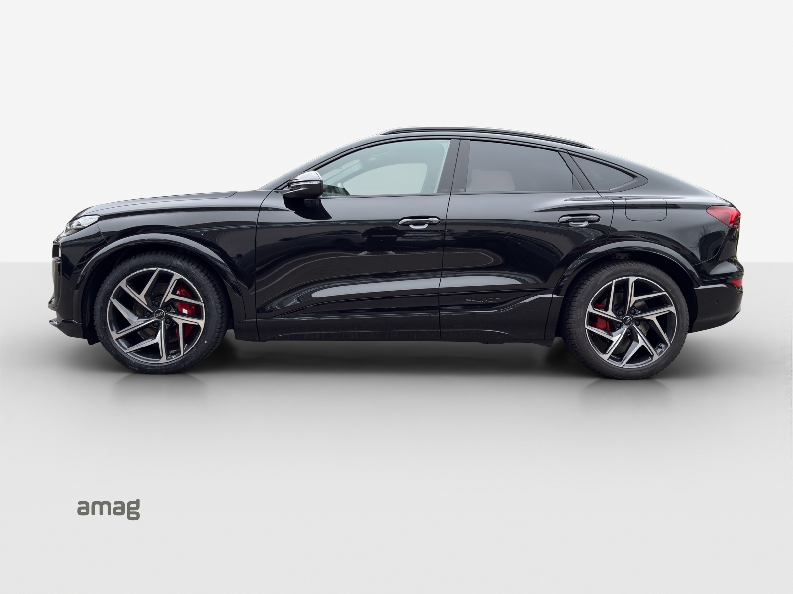 Audi SQ6 - Bild folgt... 1