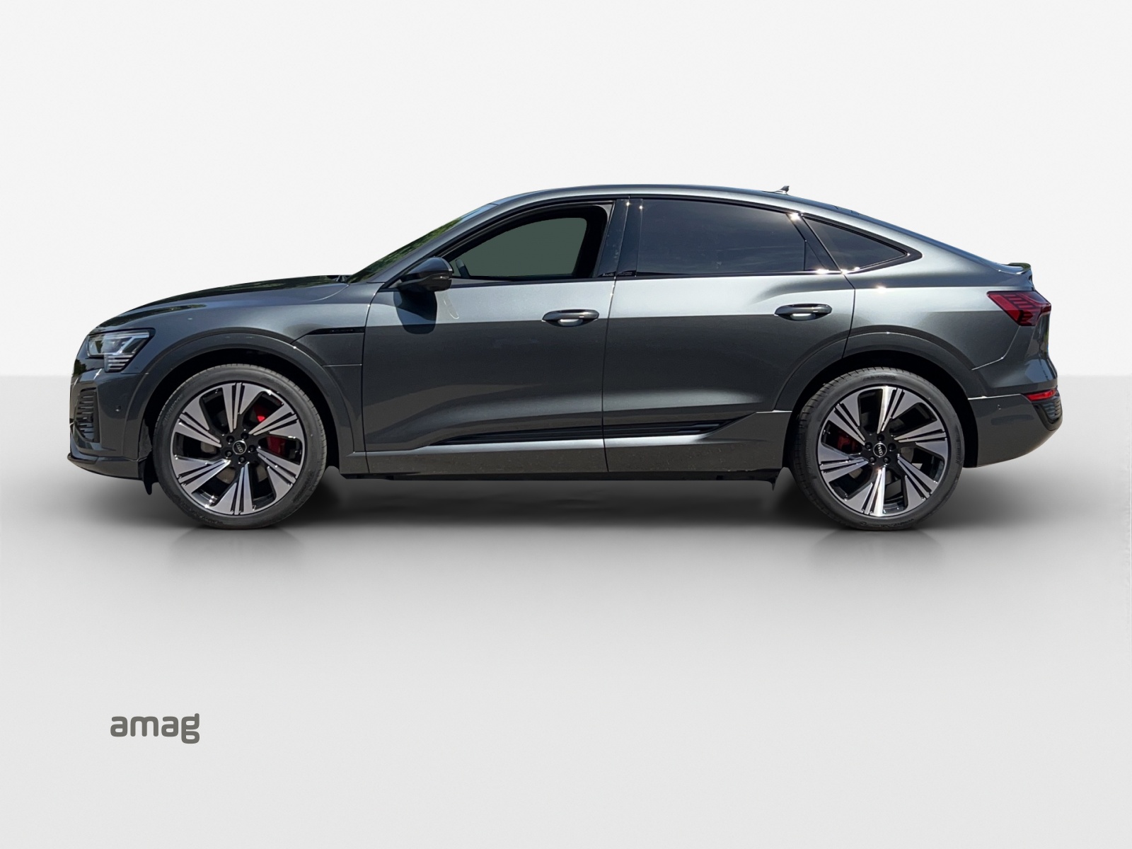 Audi Q8 e-tron - Bild folgt... 1