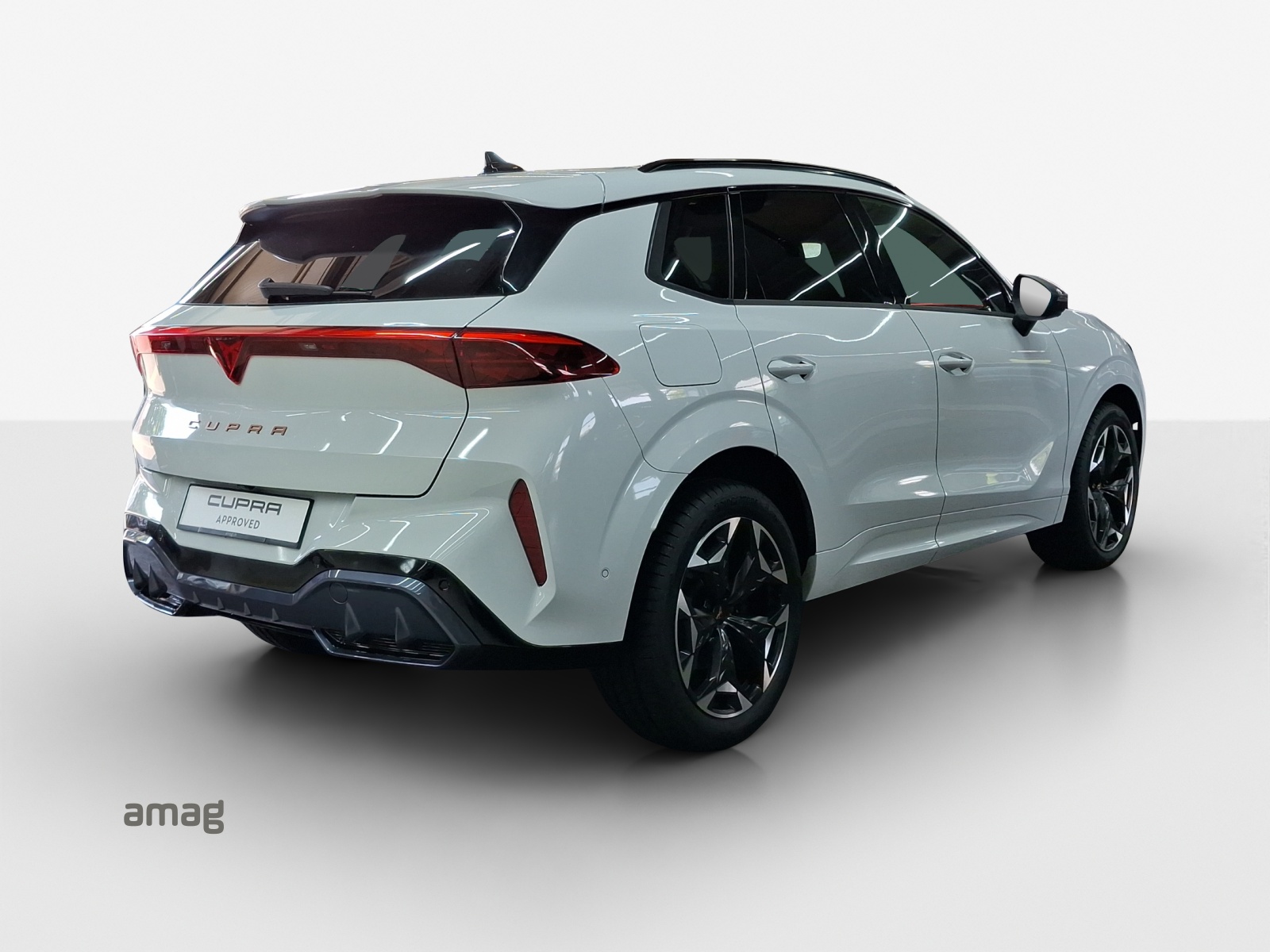 Cupra Terramar - Bild folgt... 1