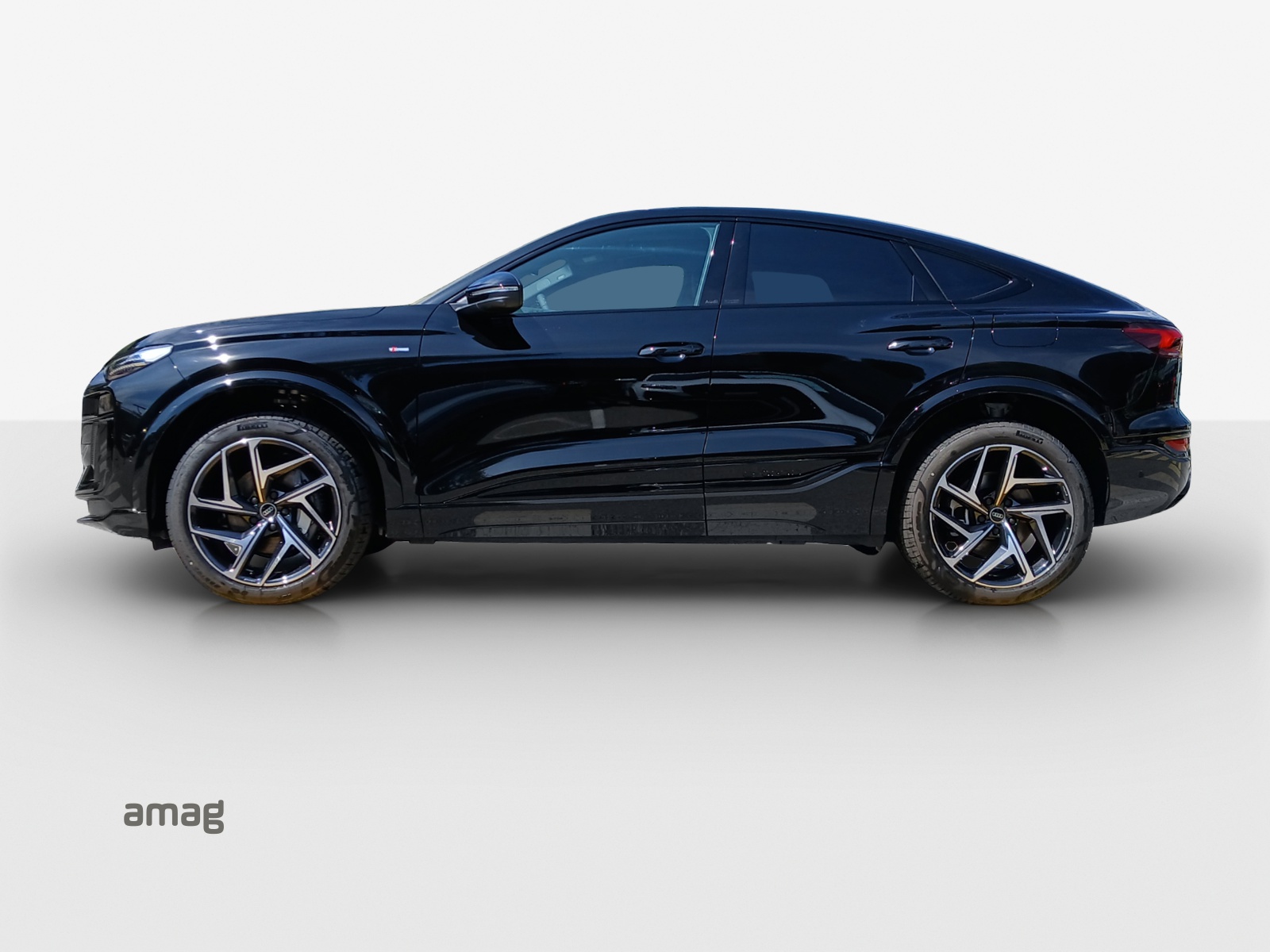 Audi Q6 - Bild folgt... 1