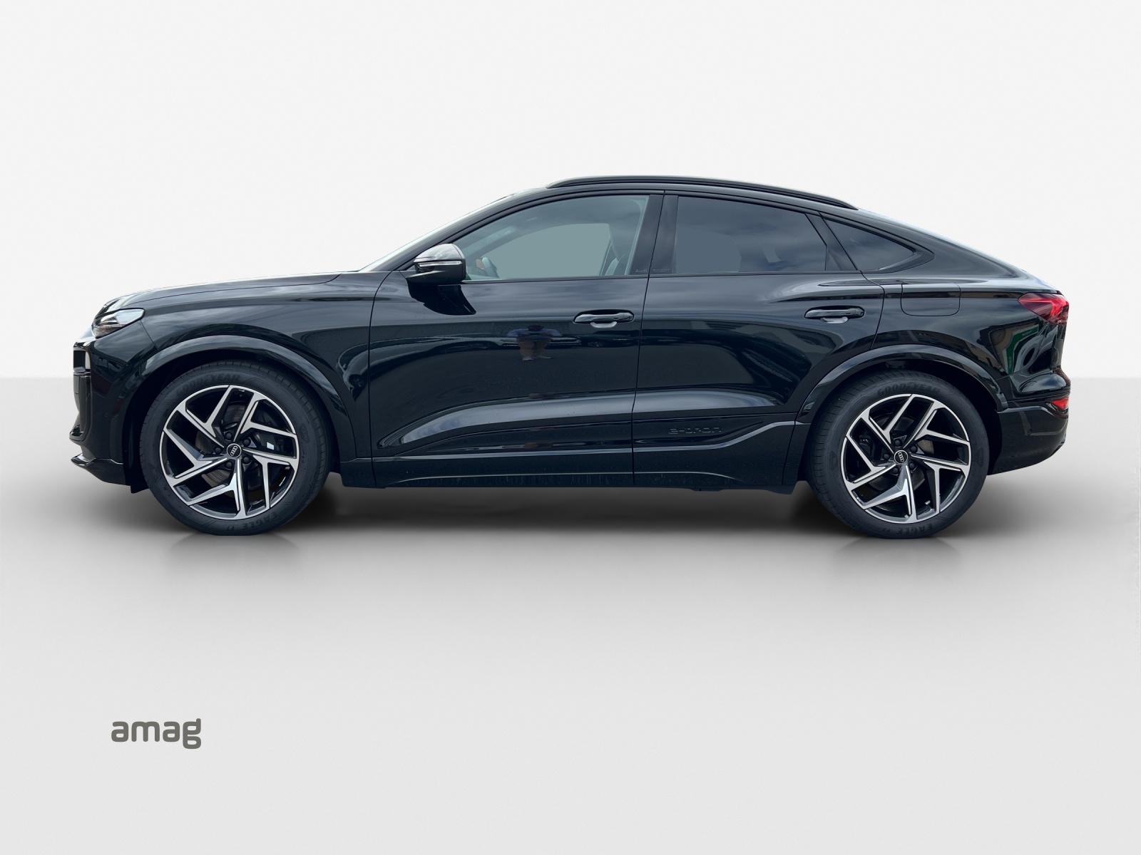 Audi SQ6 - Bild folgt... 1