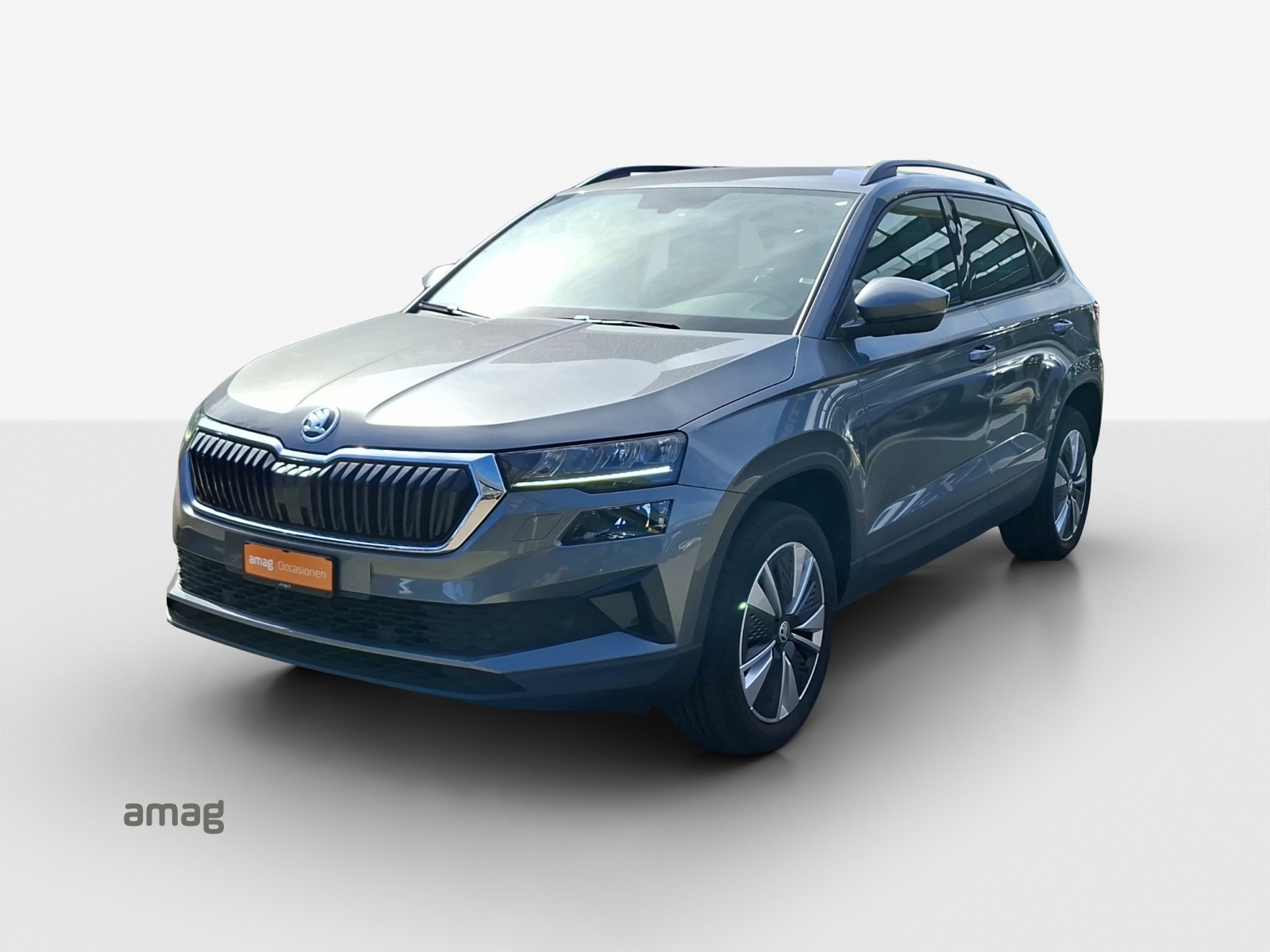 Škoda Karoq Leasing & Auto-Abo Angebot