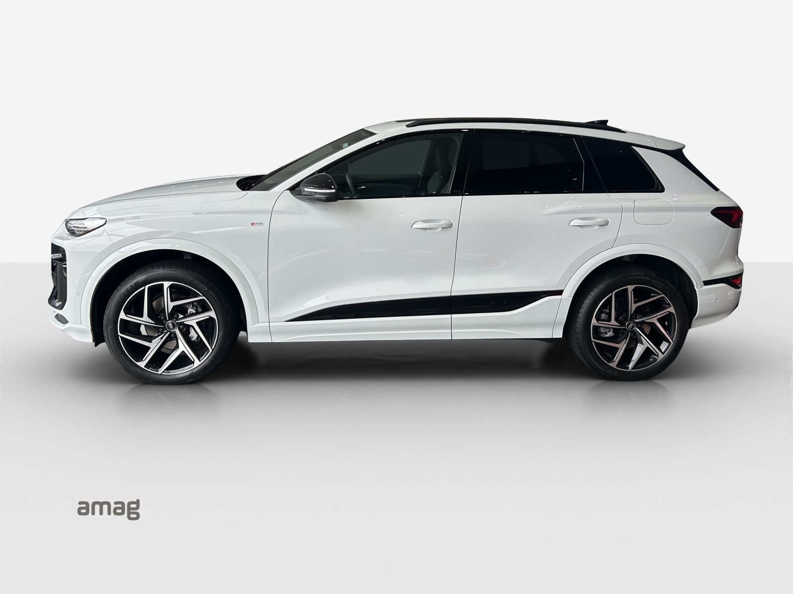 Audi Q6 - Bild folgt... 1