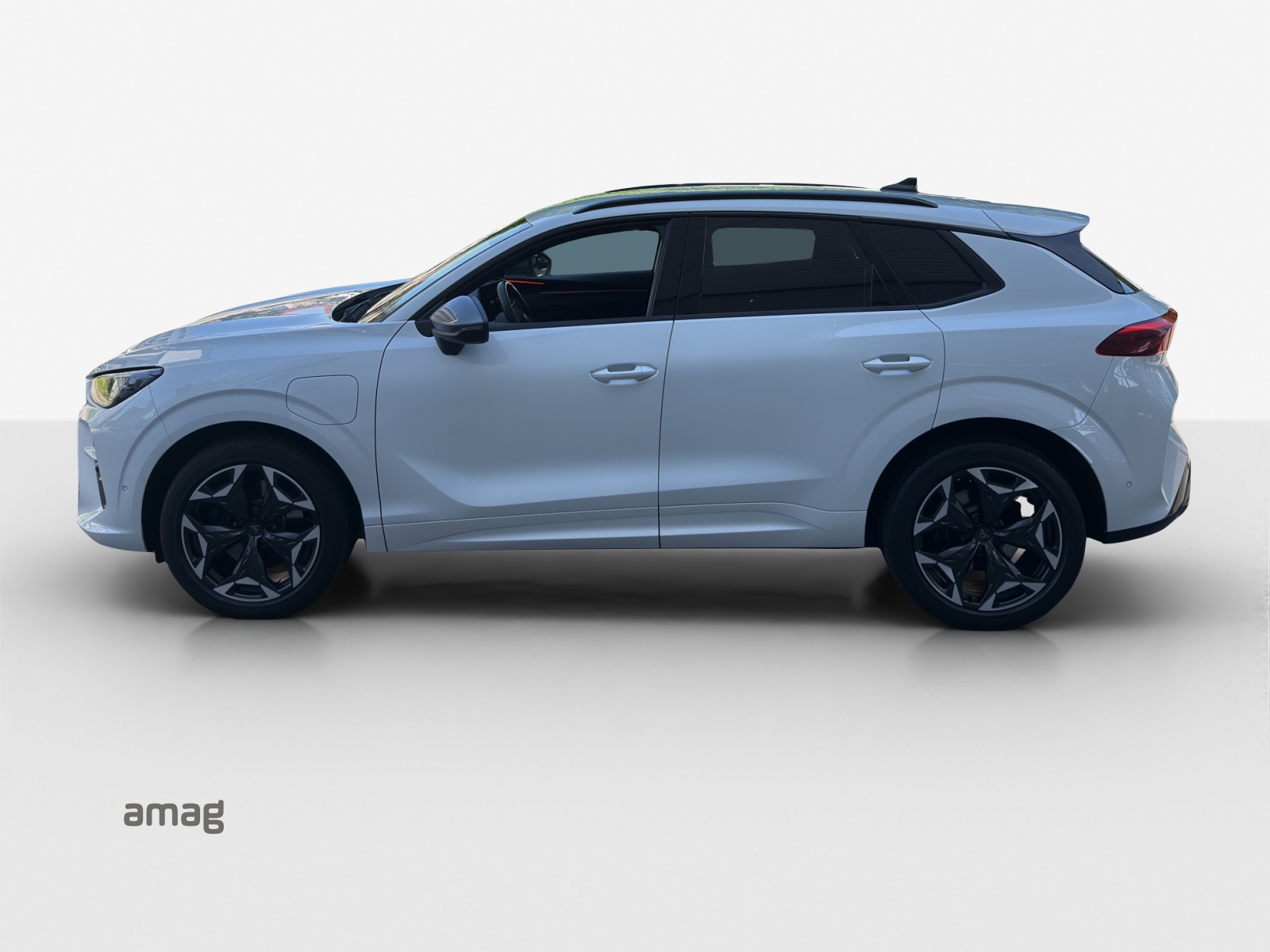 Cupra Terramar - Bild folgt... 1