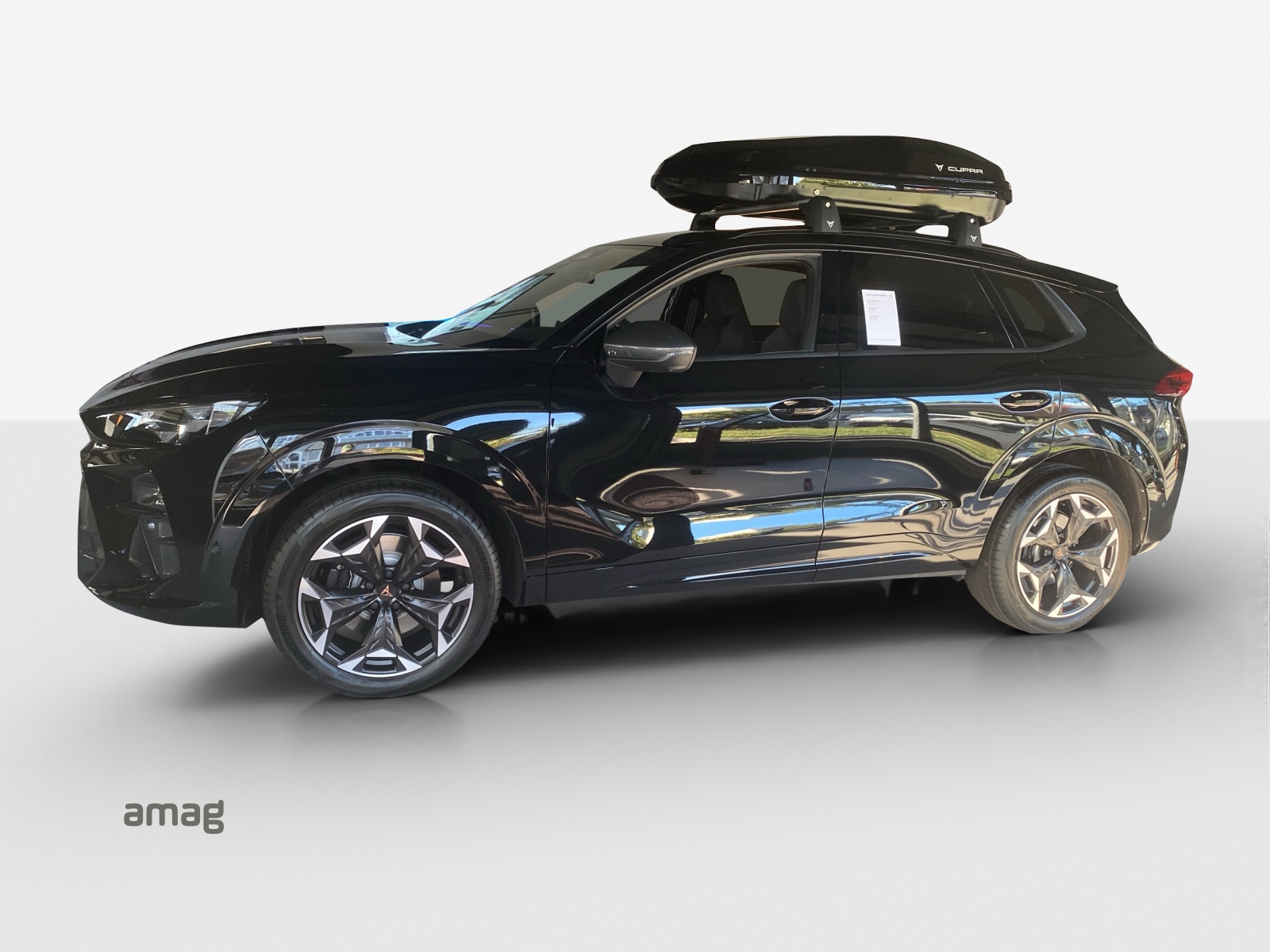 Cupra Terramar - Bild folgt... 1