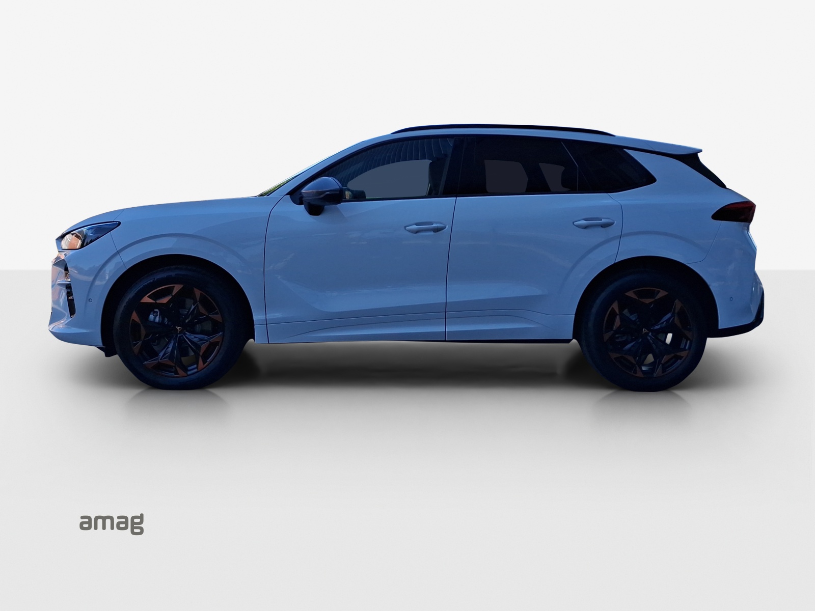 Cupra Terramar - Bild folgt... 1