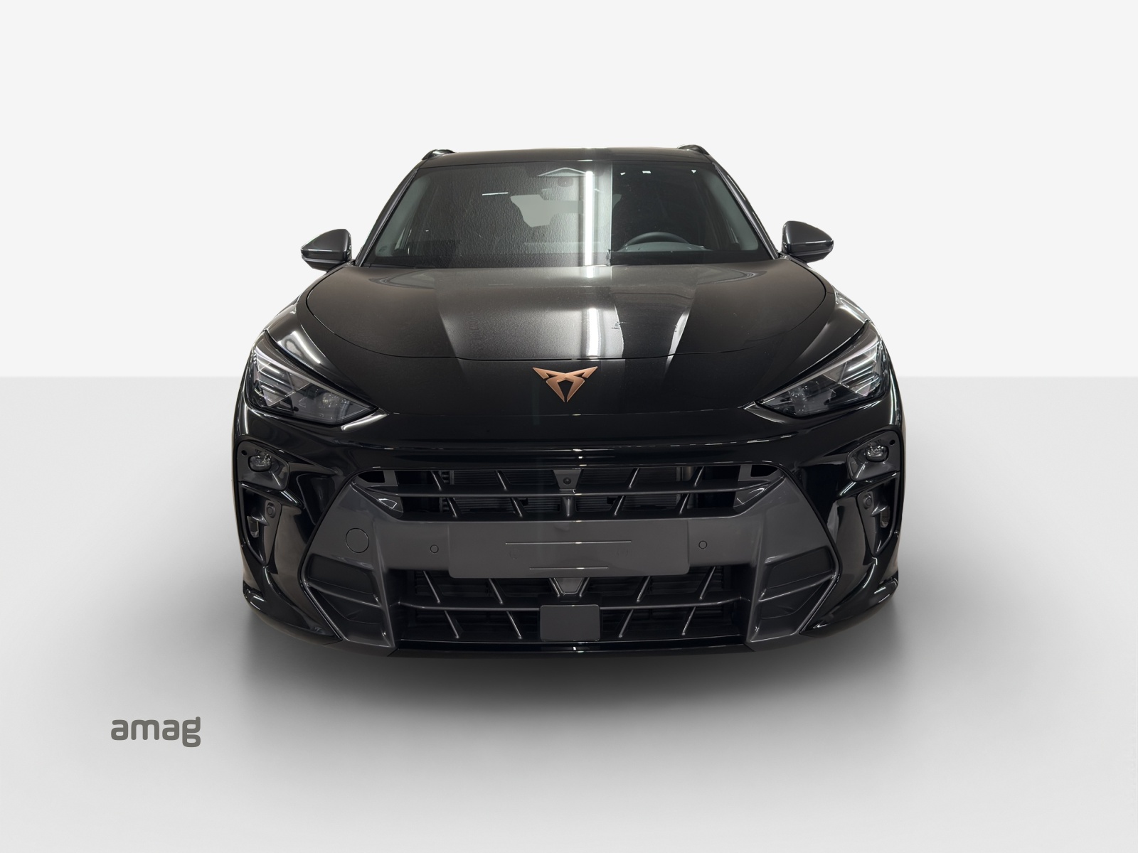 Cupra Terramar - Bild folgt... 1