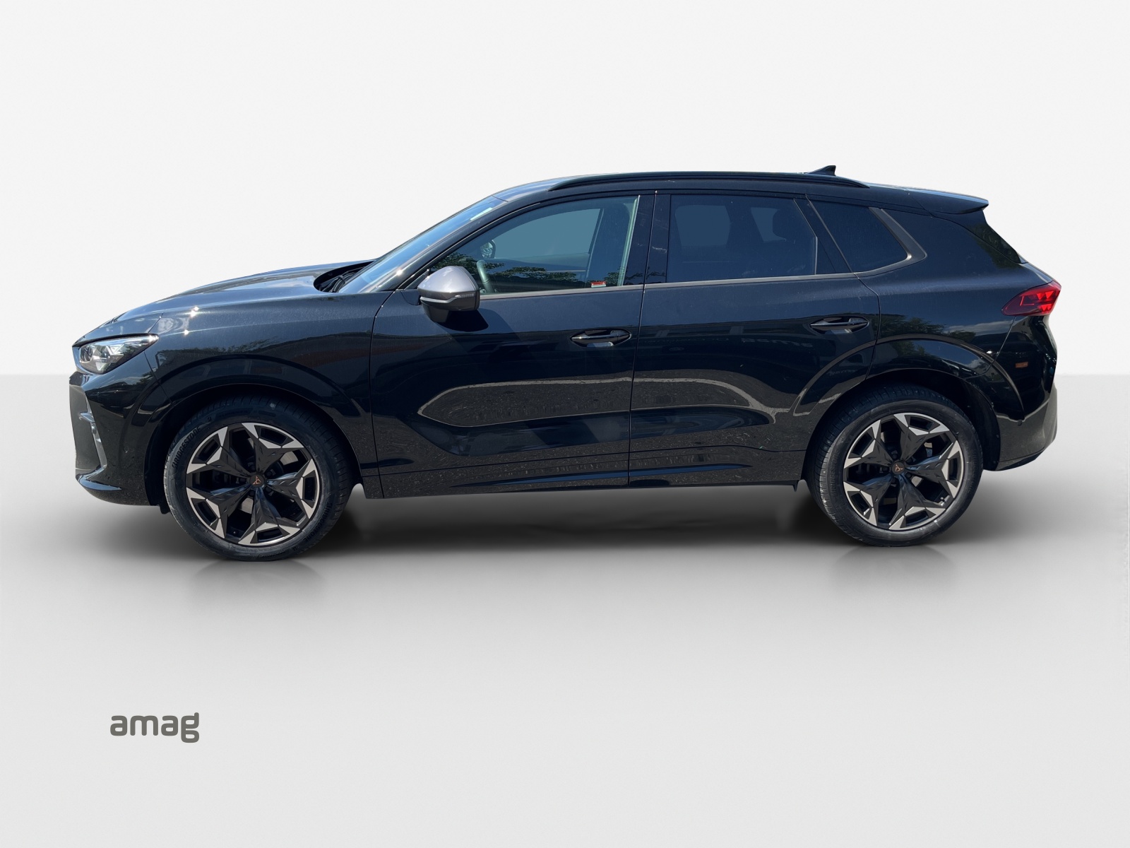 Cupra Terramar - Bild folgt... 1