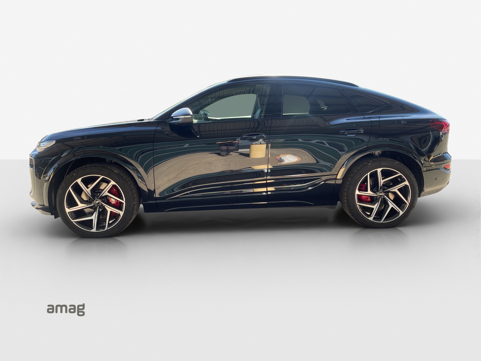 Audi SQ6 - Bild folgt... 1