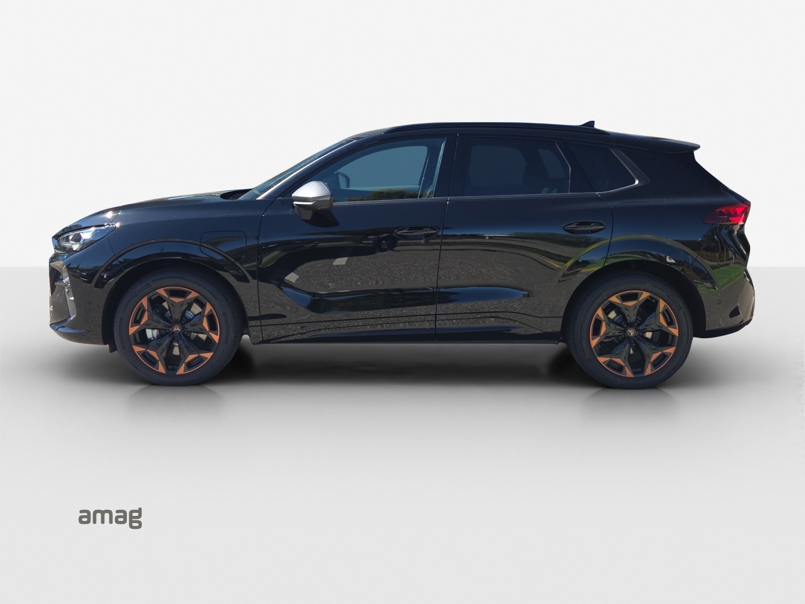Cupra Terramar - Bild folgt... 1