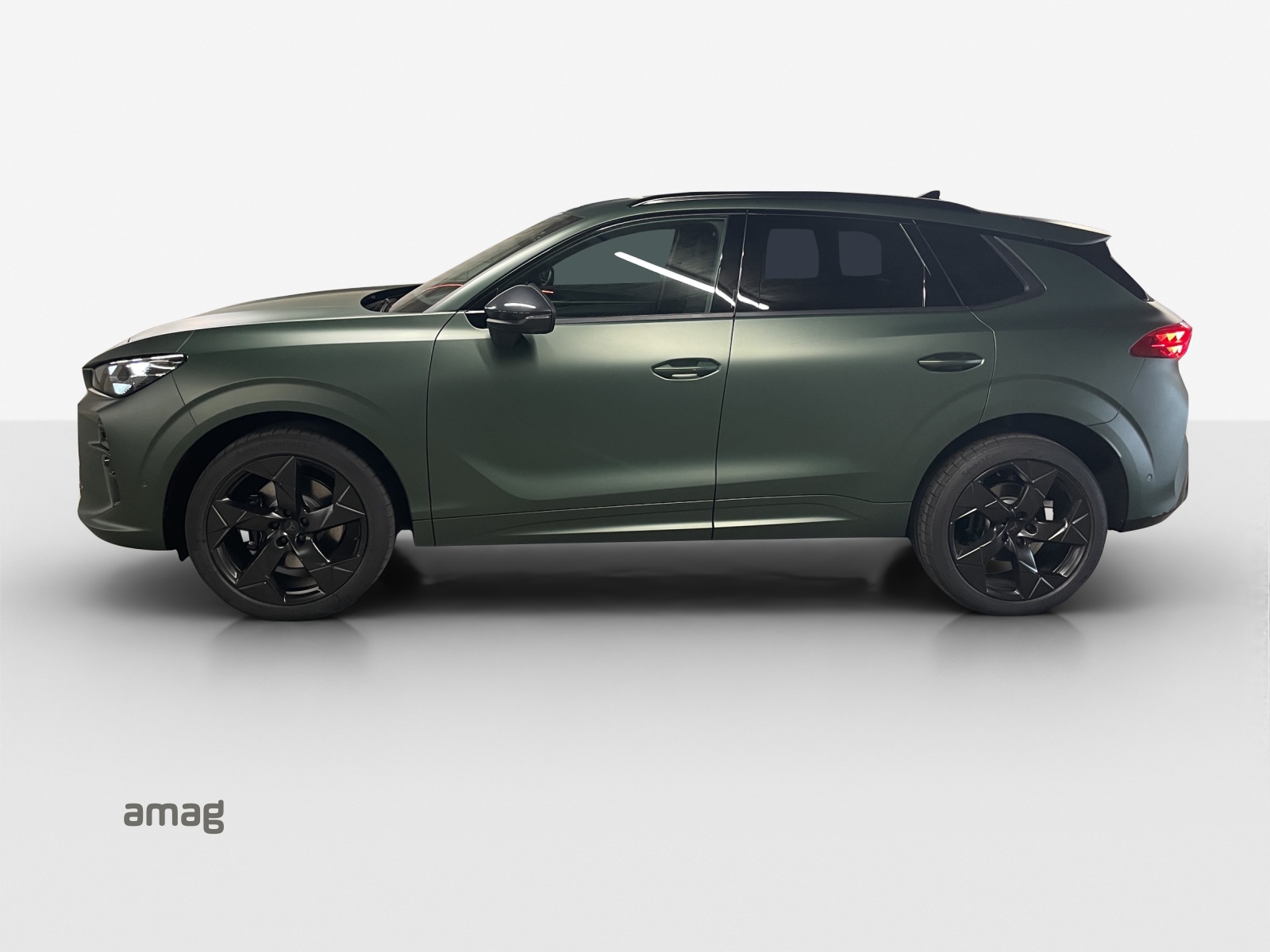 Cupra Terramar - Bild folgt... 1