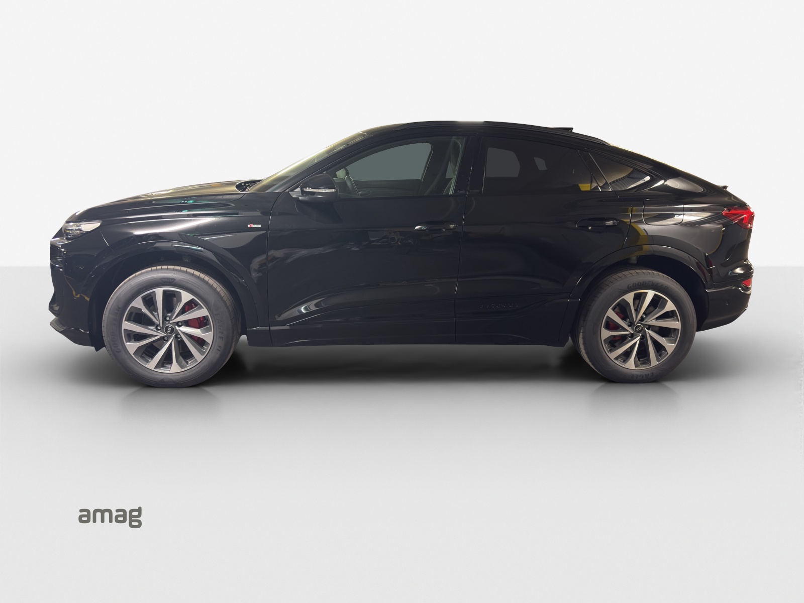 Audi Q6 - Bild folgt... 1
