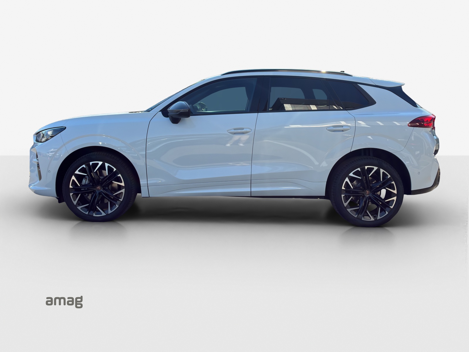 Cupra Terramar - Bild folgt... 1