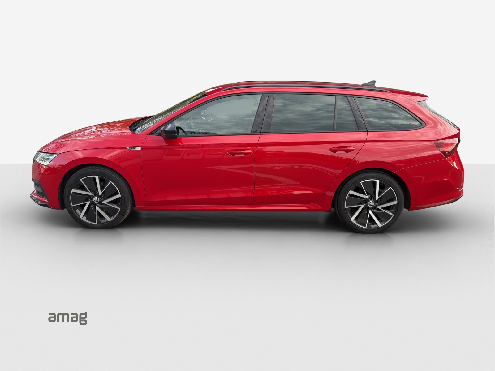 Škoda Octavia - Bild folgt... 1