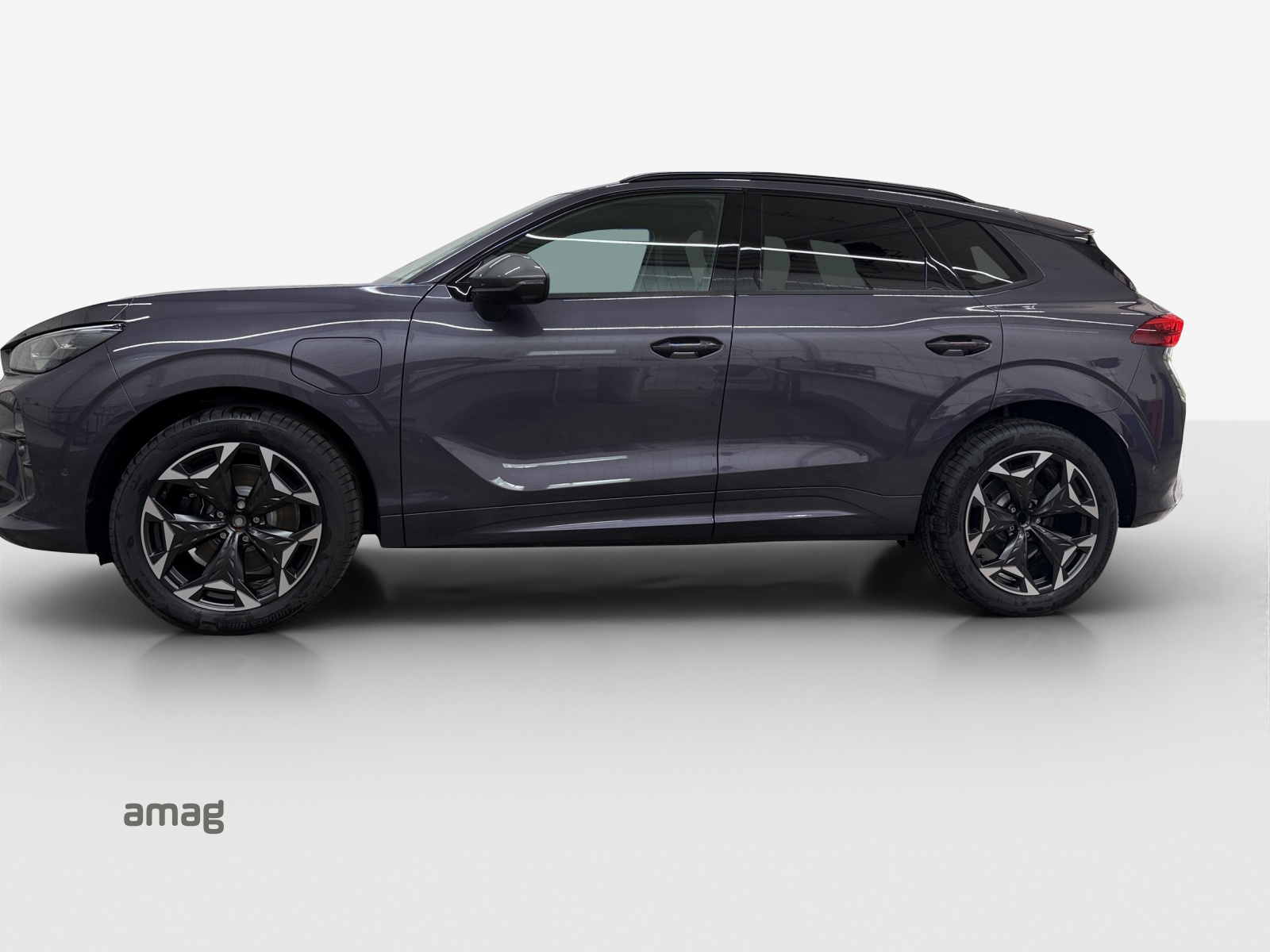 Cupra Terramar - Bild folgt... 1