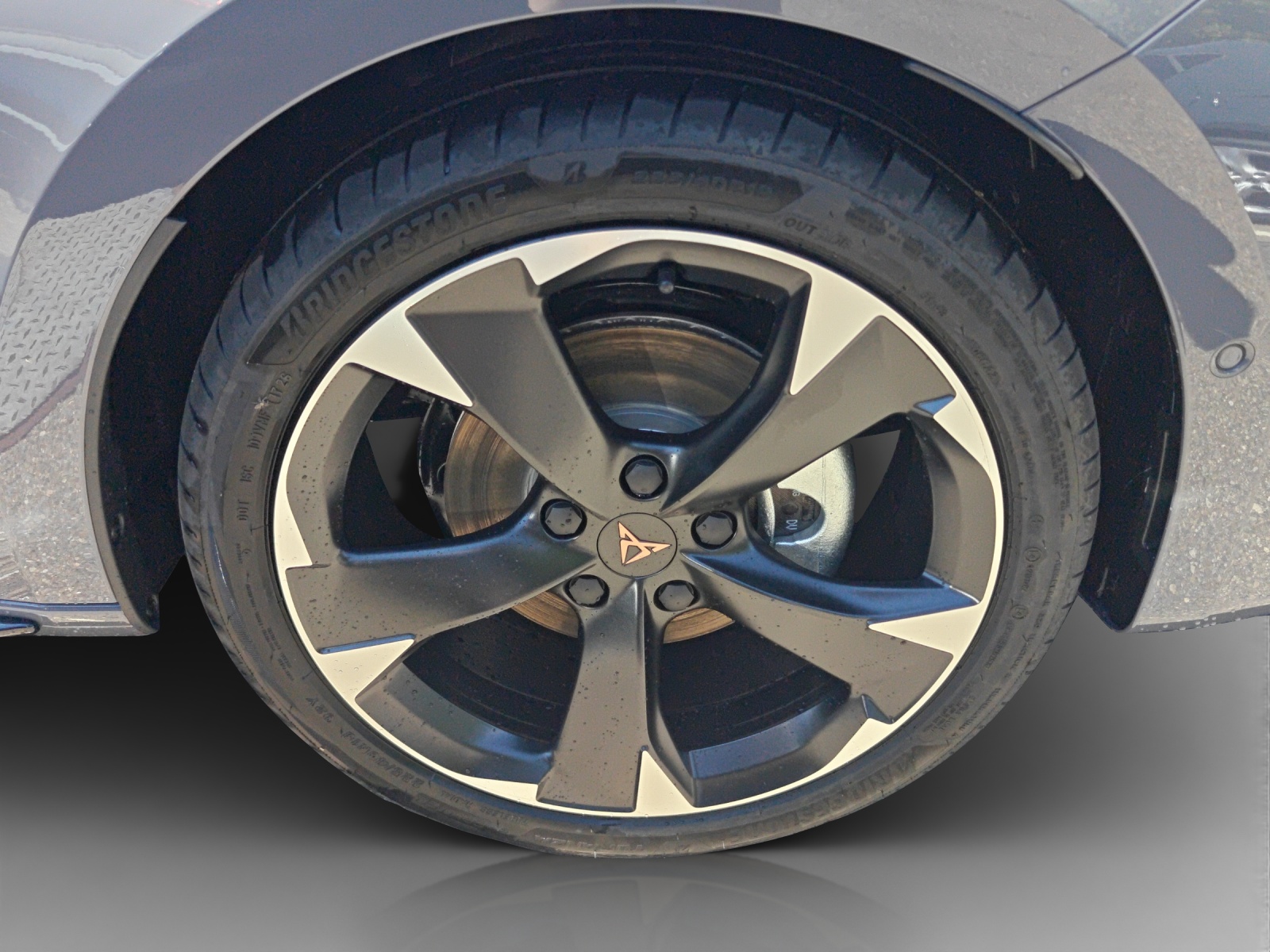 Cupra Leon - Bild folgt... 1