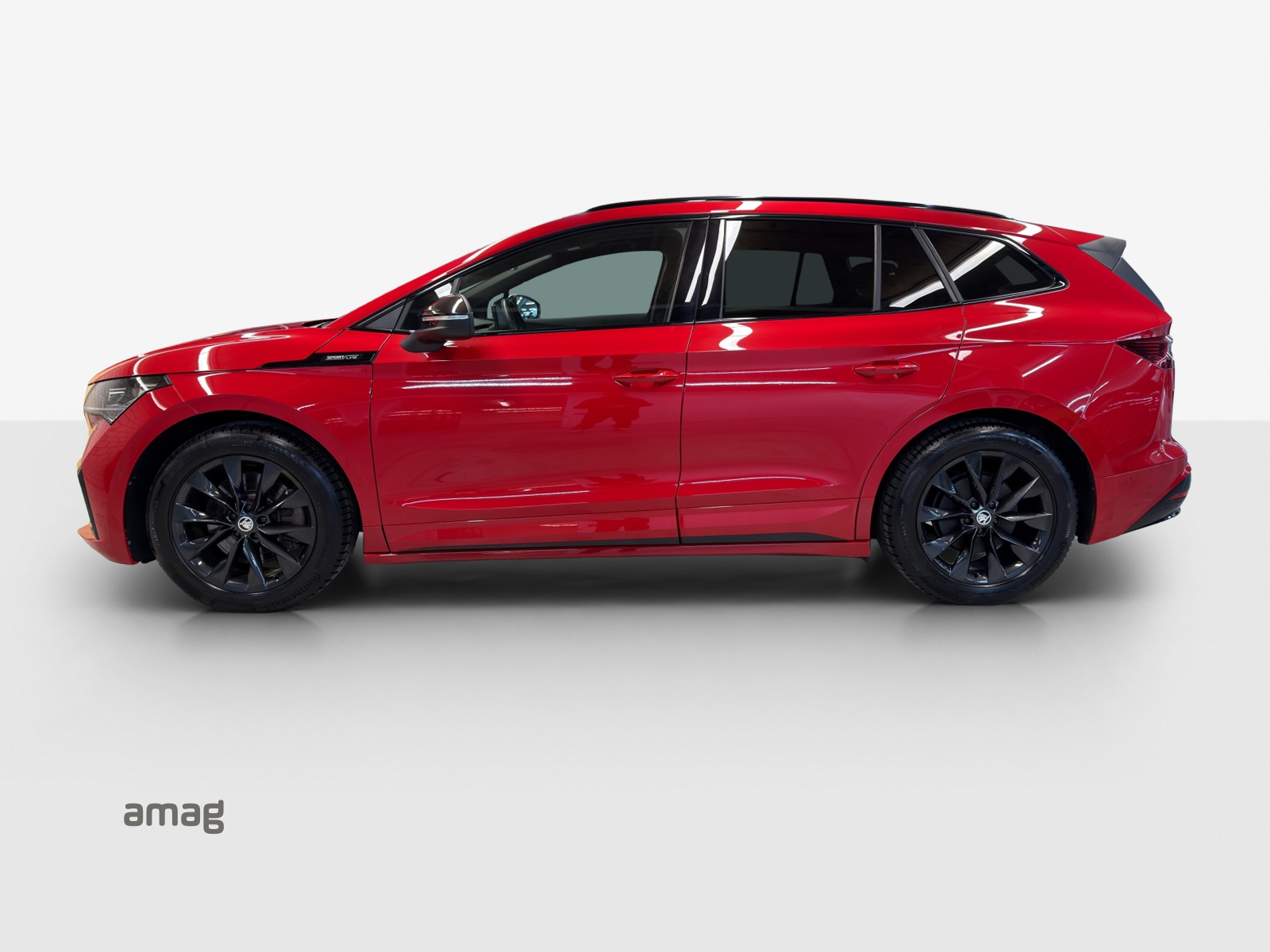 Škoda ENYAQ - Bild folgt... 1
