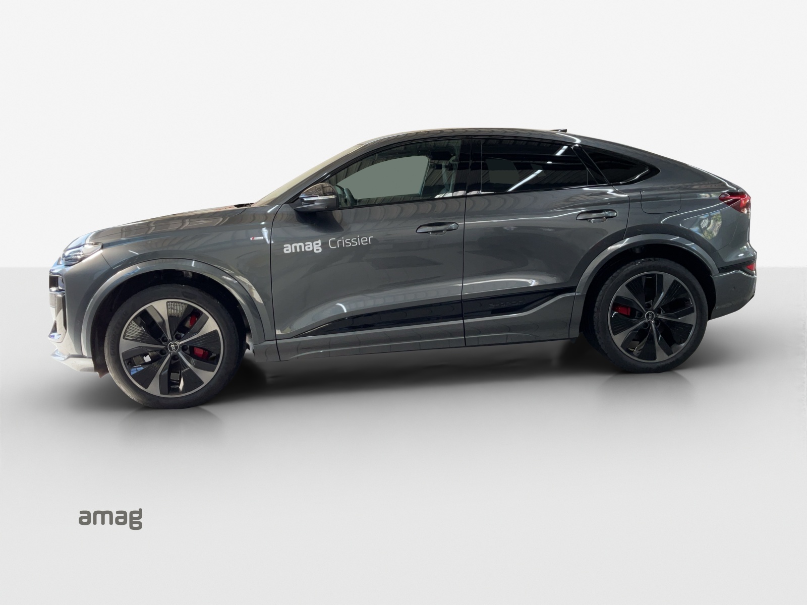 Audi Q6 - Bild folgt... 1