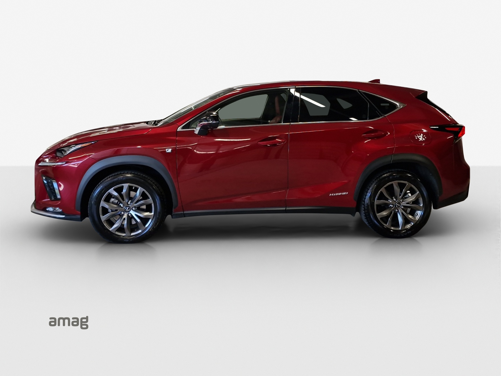 Lexus NX-Serie - Bild folgt... 1