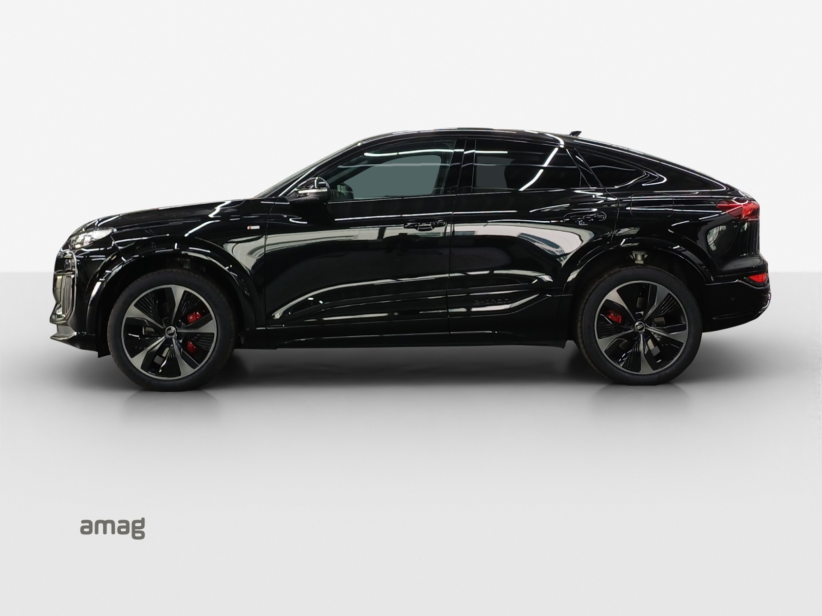 Audi Q6 - Bild folgt... 1
