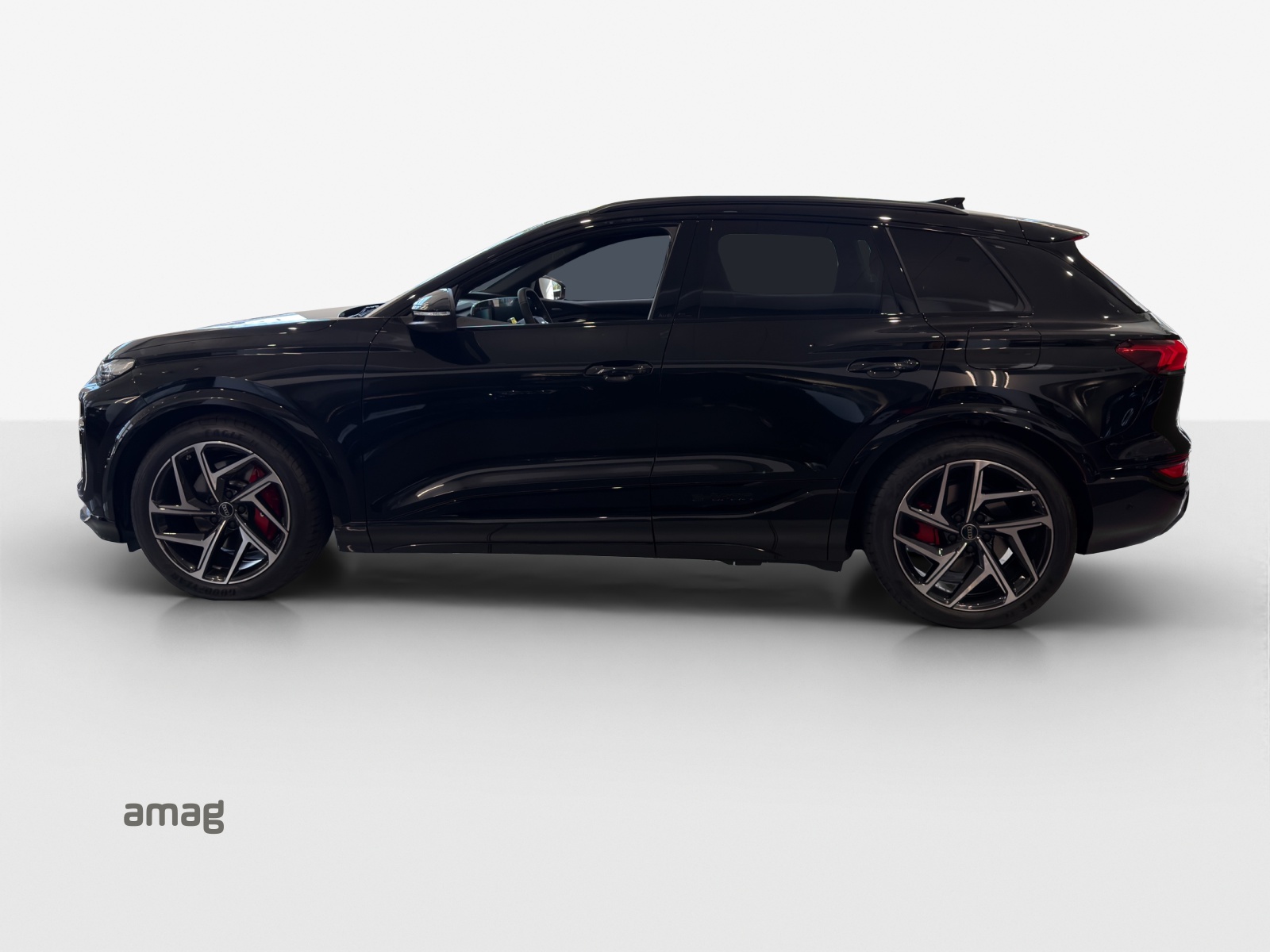 Audi SQ6 - Bild folgt... 1