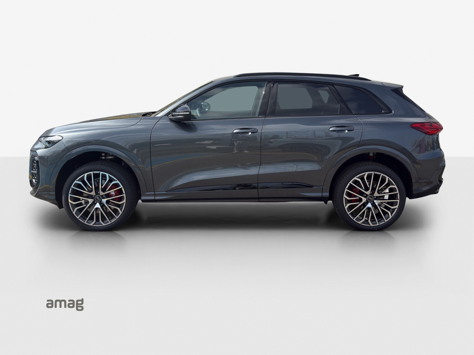 Audi SQ5 - Bild folgt... 1