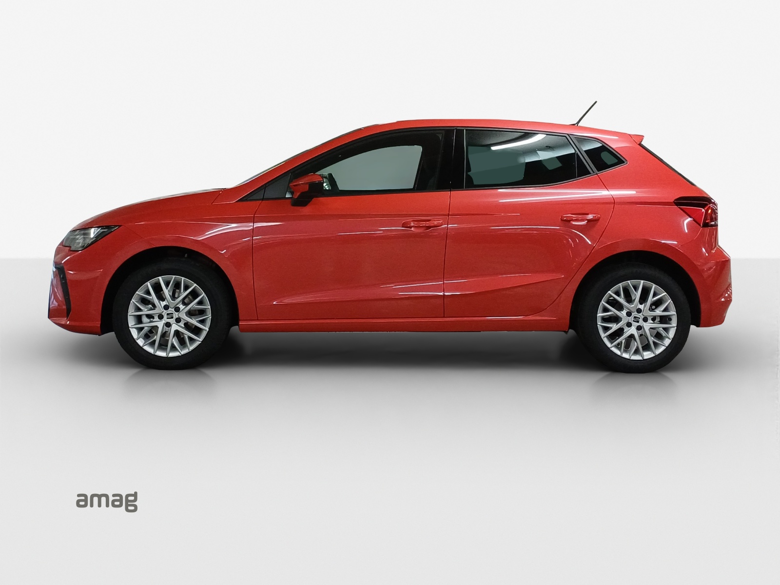Seat Ibiza - Bild folgt... 1