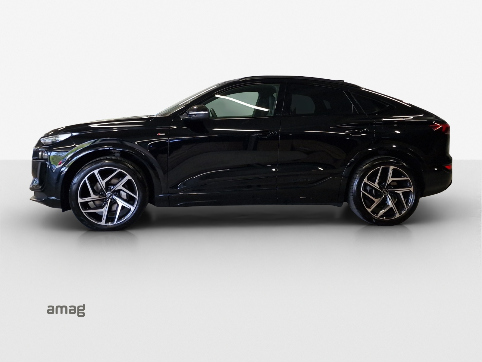 Audi Q6 - Bild folgt... 1