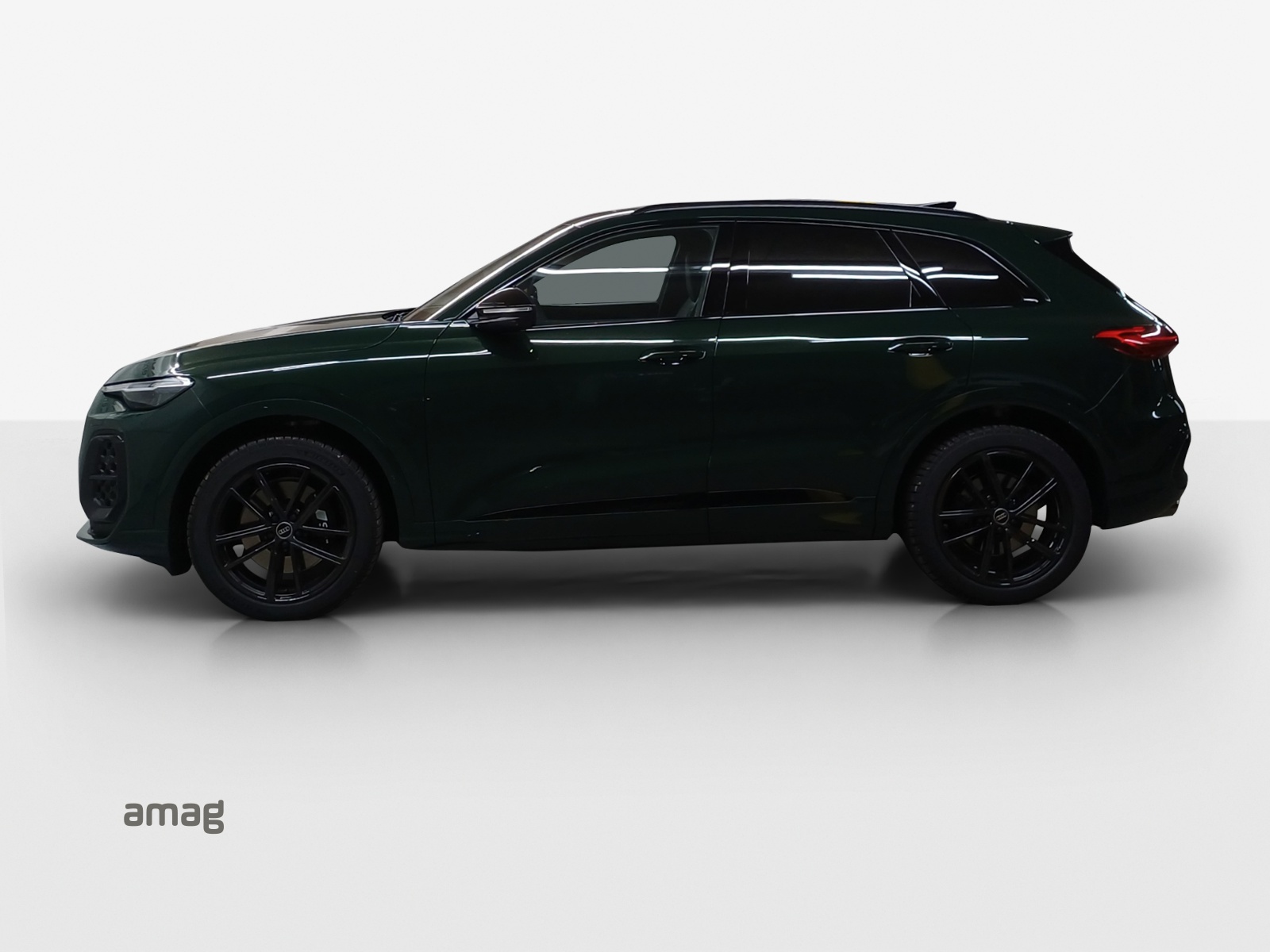 Audi SQ5 - Bild folgt... 1