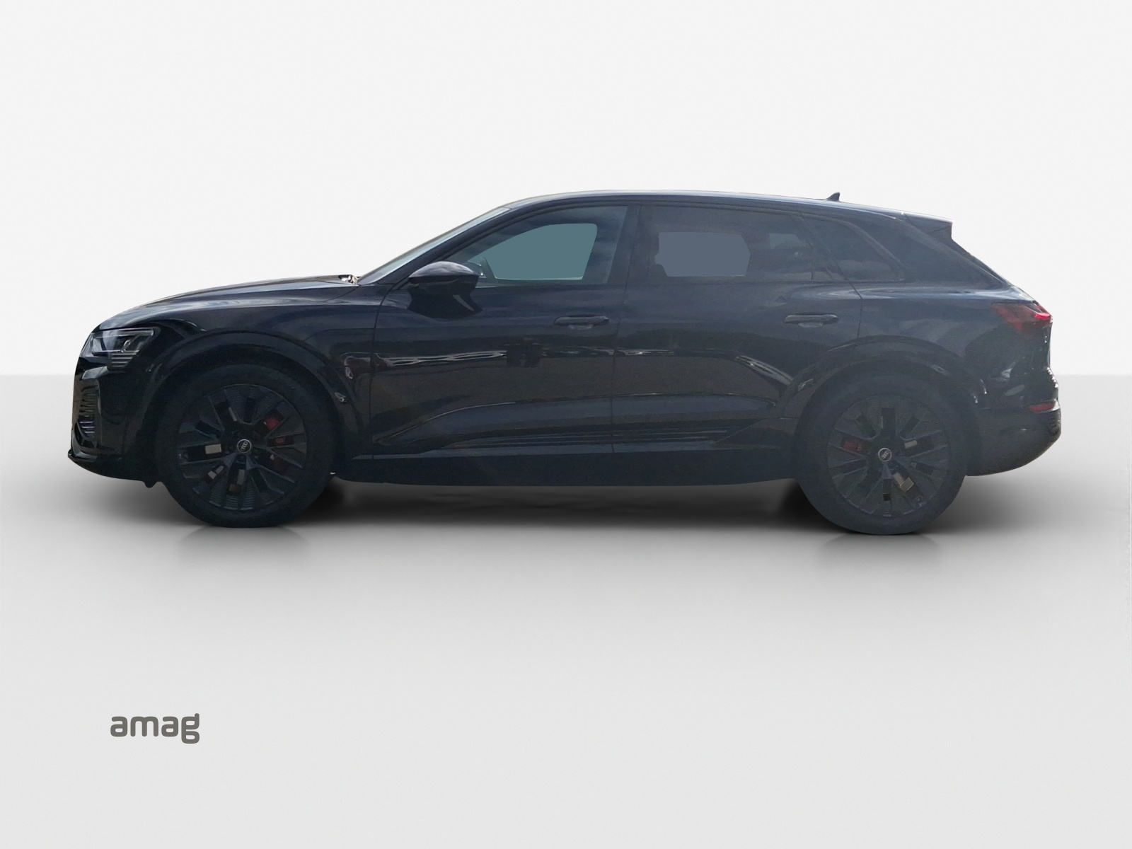 Audi Q8 - Bild folgt... 1