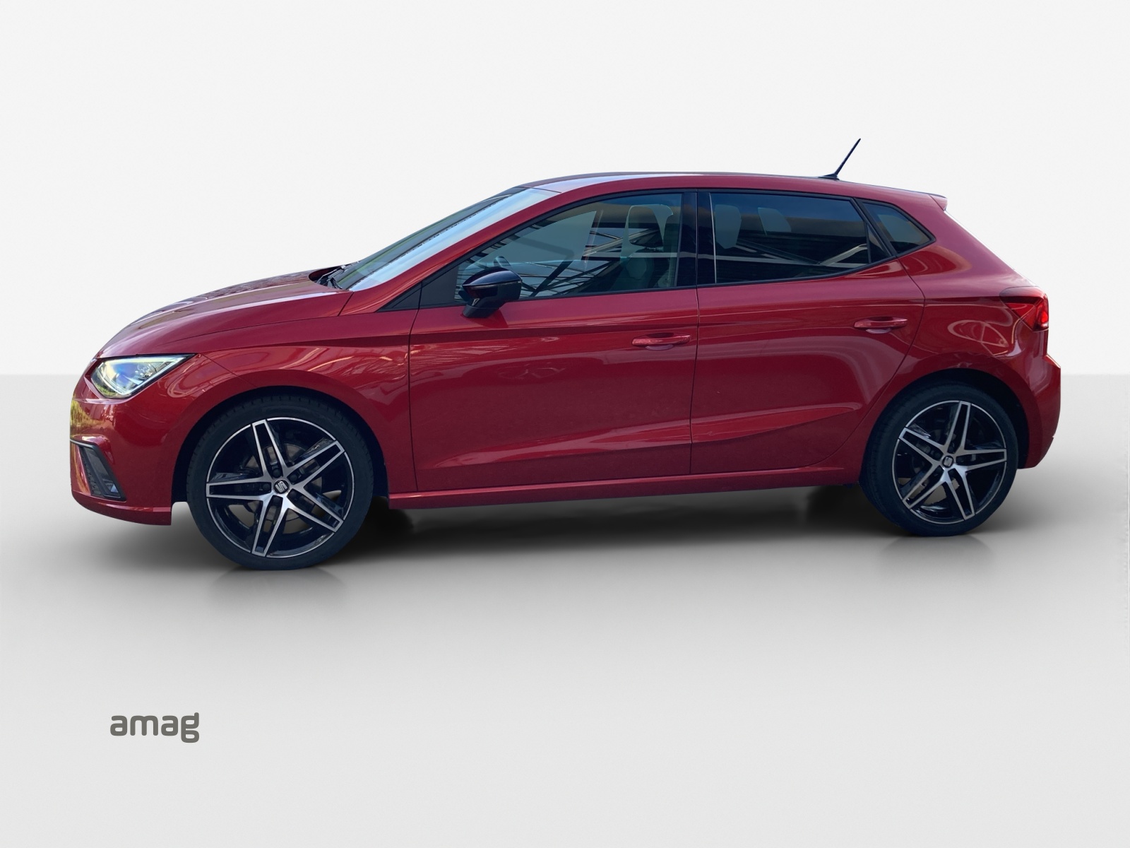 Seat Ibiza - Bild folgt... 1