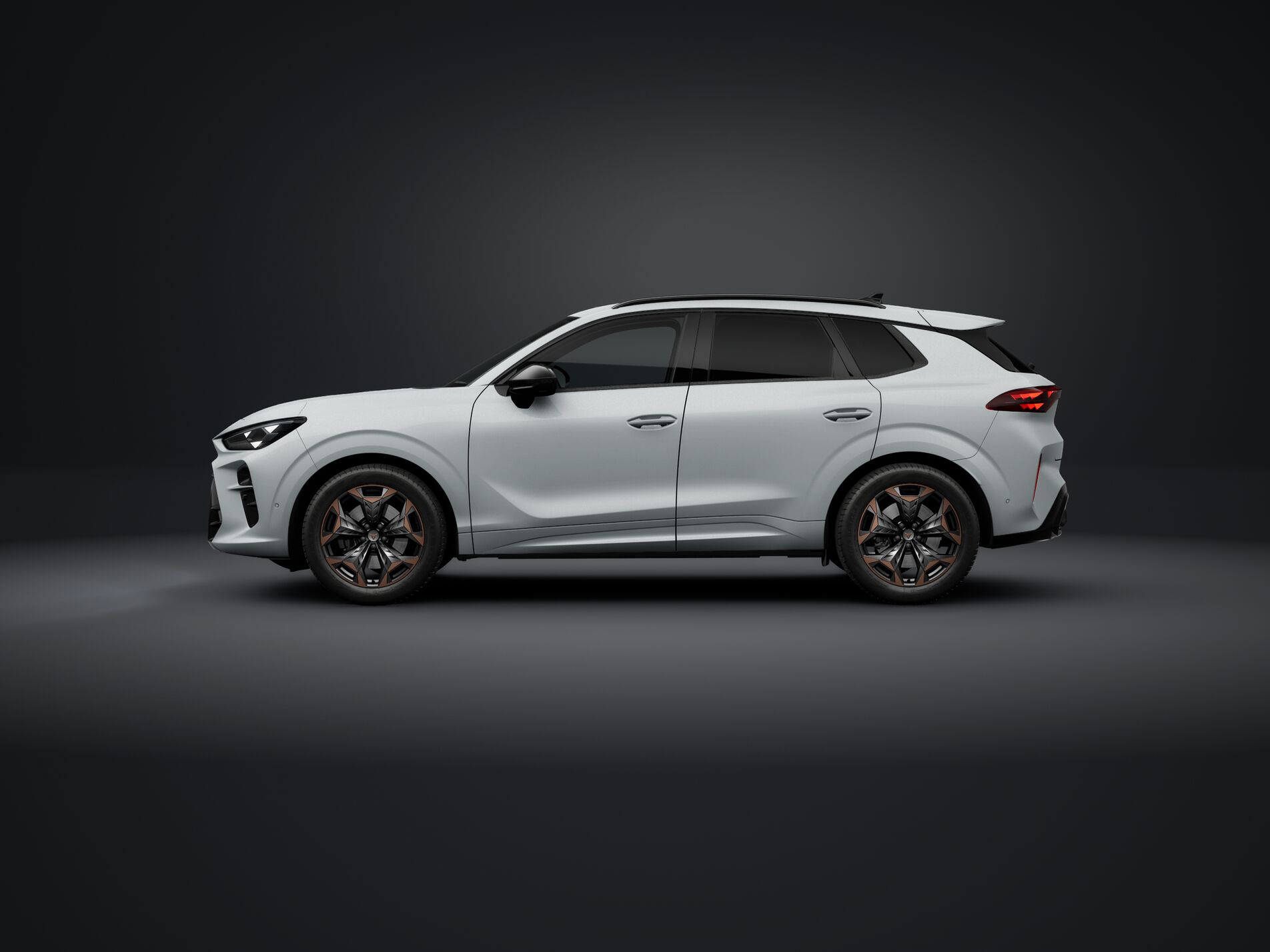 Cupra Terramar - Bild folgt... 1
