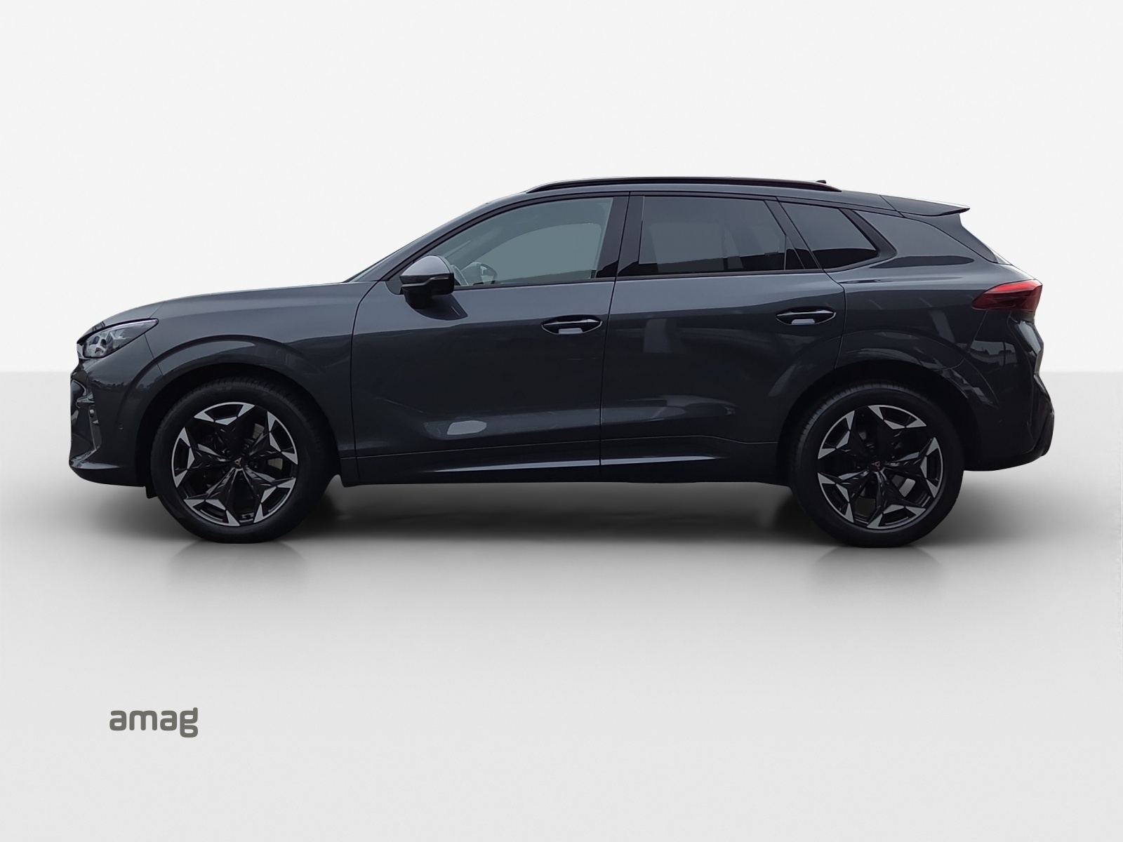 Cupra Terramar - Bild folgt... 1