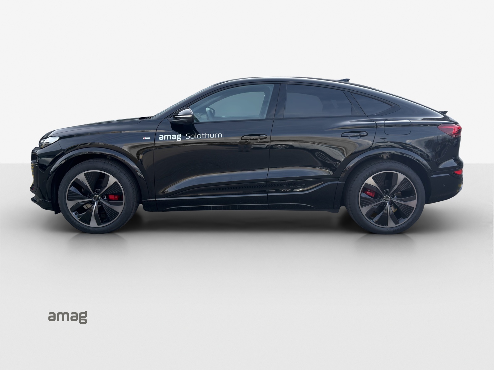 Audi Q6 - Bild folgt... 1
