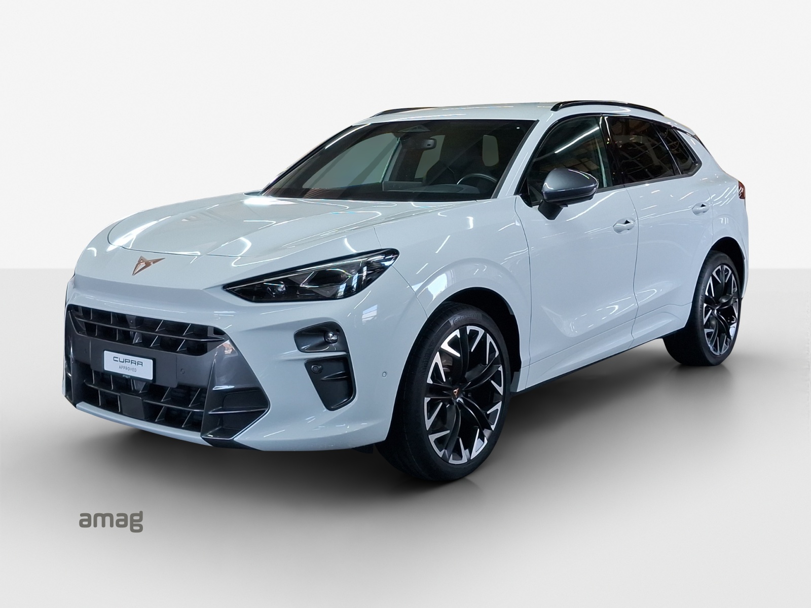 Cupra Terramar Leasing & Auto-Abo Angebot