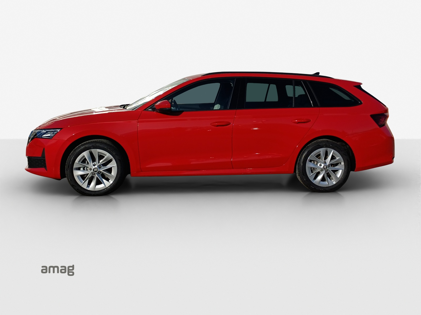Škoda Octavia - Bild folgt... 1