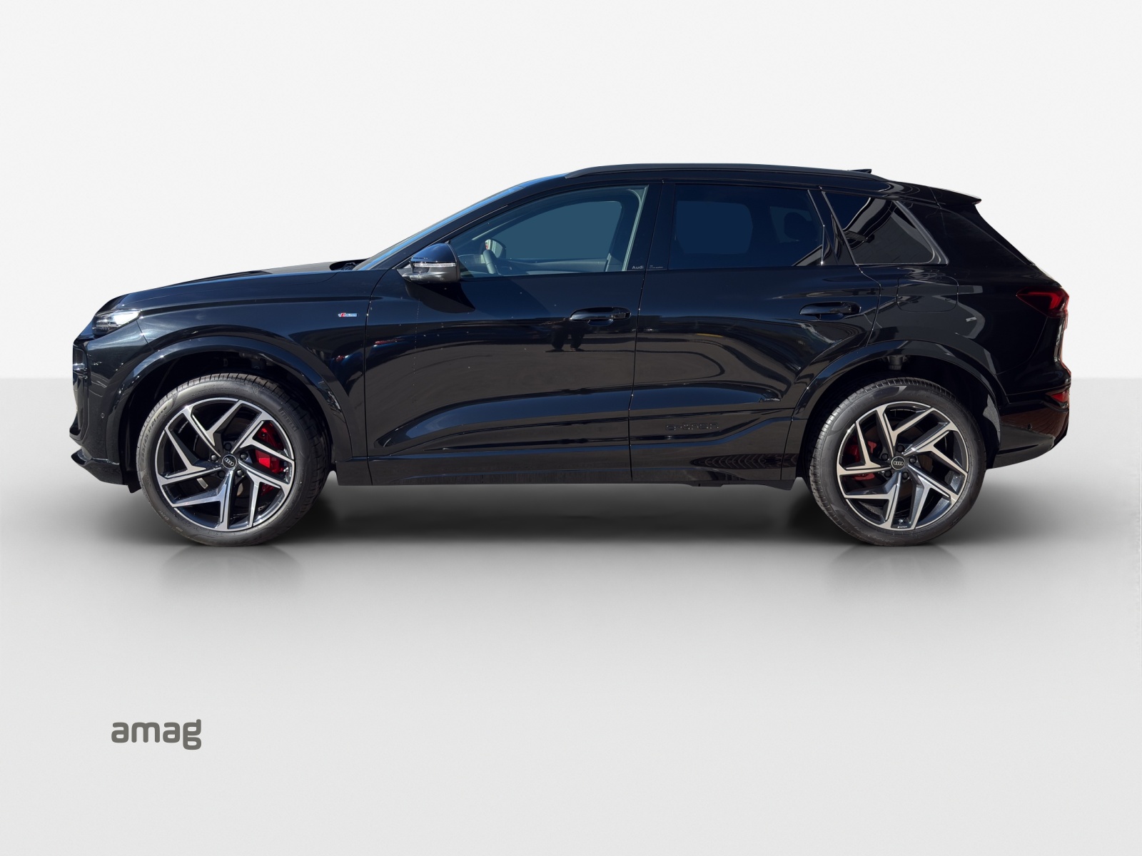 Audi Q6 - Bild folgt... 1