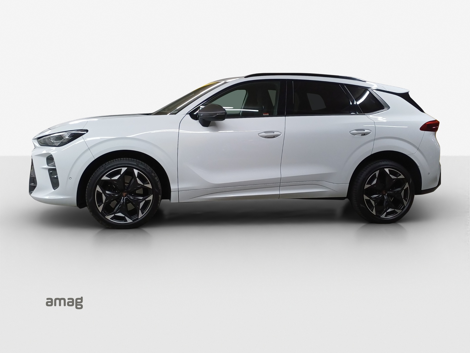 Cupra Terramar - Bild folgt... 1